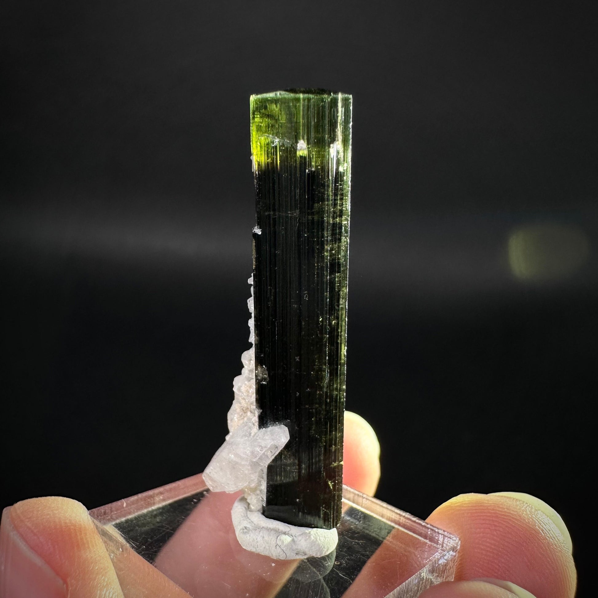 Green Cap Tourmaline with Albite (Pakistan) | raw tourmaline, green tourmaline, tourmaline crystal, rare minerals, rare crystals