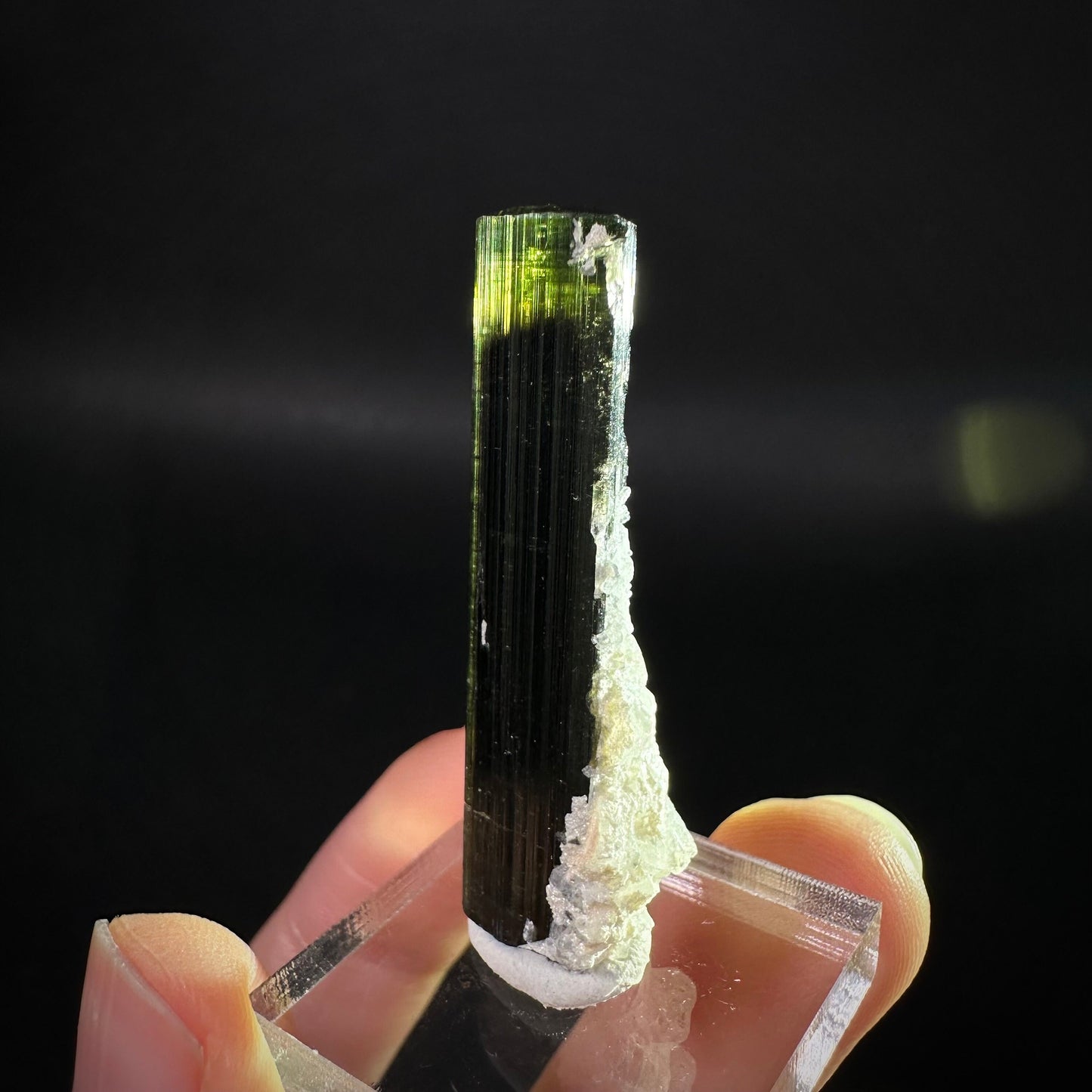 Green Cap Tourmaline with Albite (Pakistan) | raw tourmaline, green tourmaline, tourmaline crystal, rare minerals, rare crystals