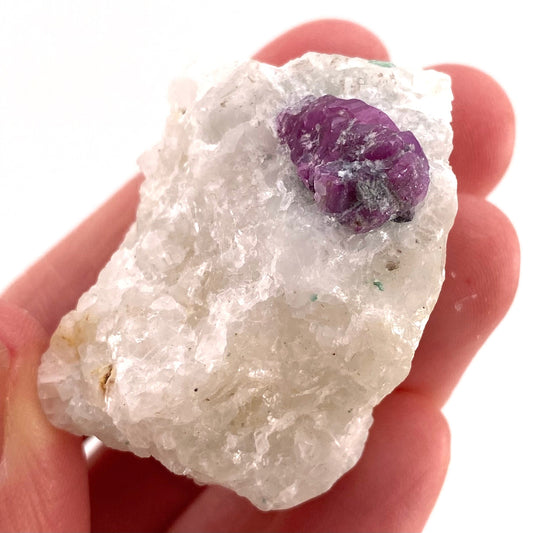 Natural Ruby on Matrix (Pakistan) | UV reactive ruby, natural red ruby, red ruby, authentic ruby, corundum var. ruby, mineral specimen