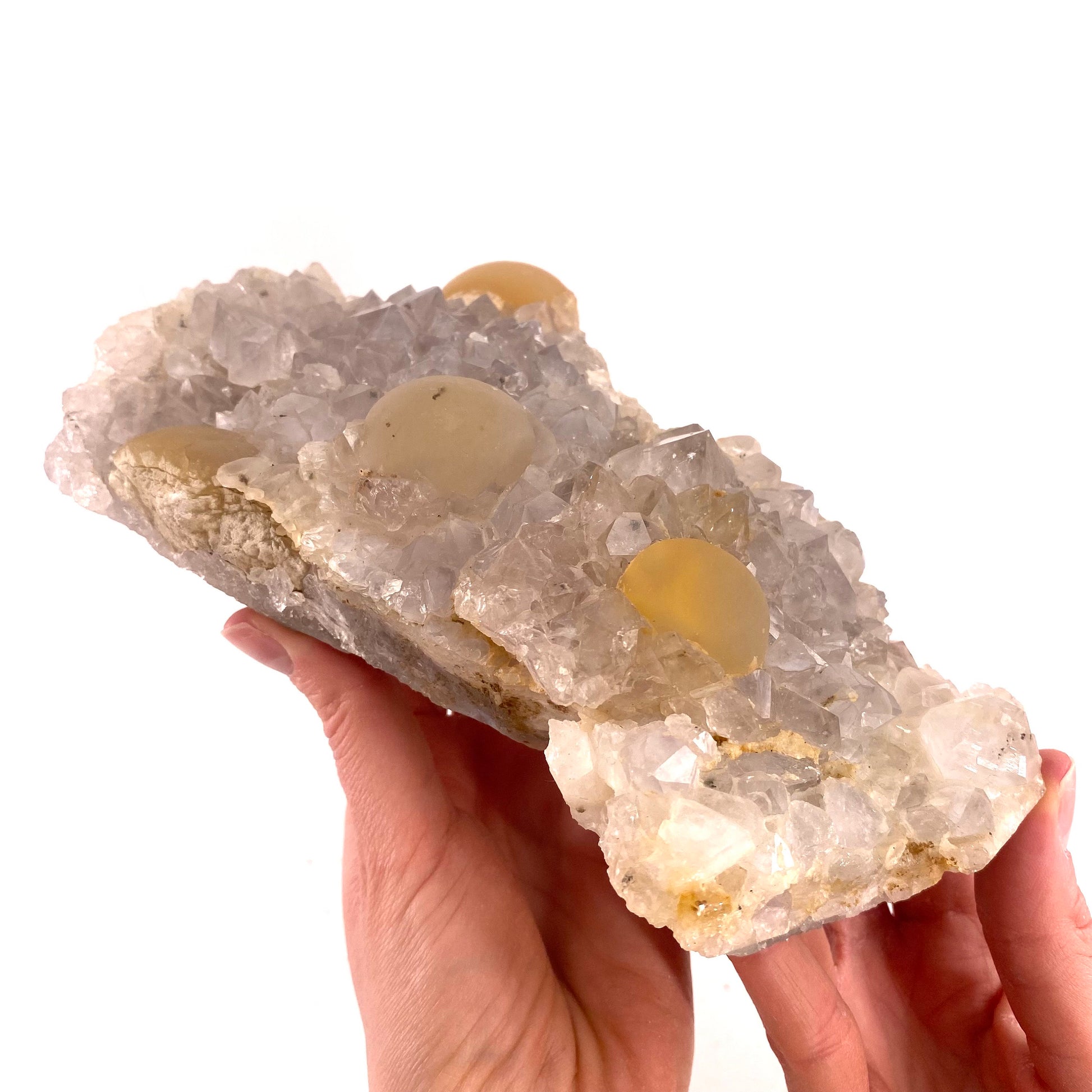 XXL Botryoidal Fluorite on Quartz (India) | fried egg crystal, egg fluorite, fluorite crystal, mineral specimen, yellow fluorite