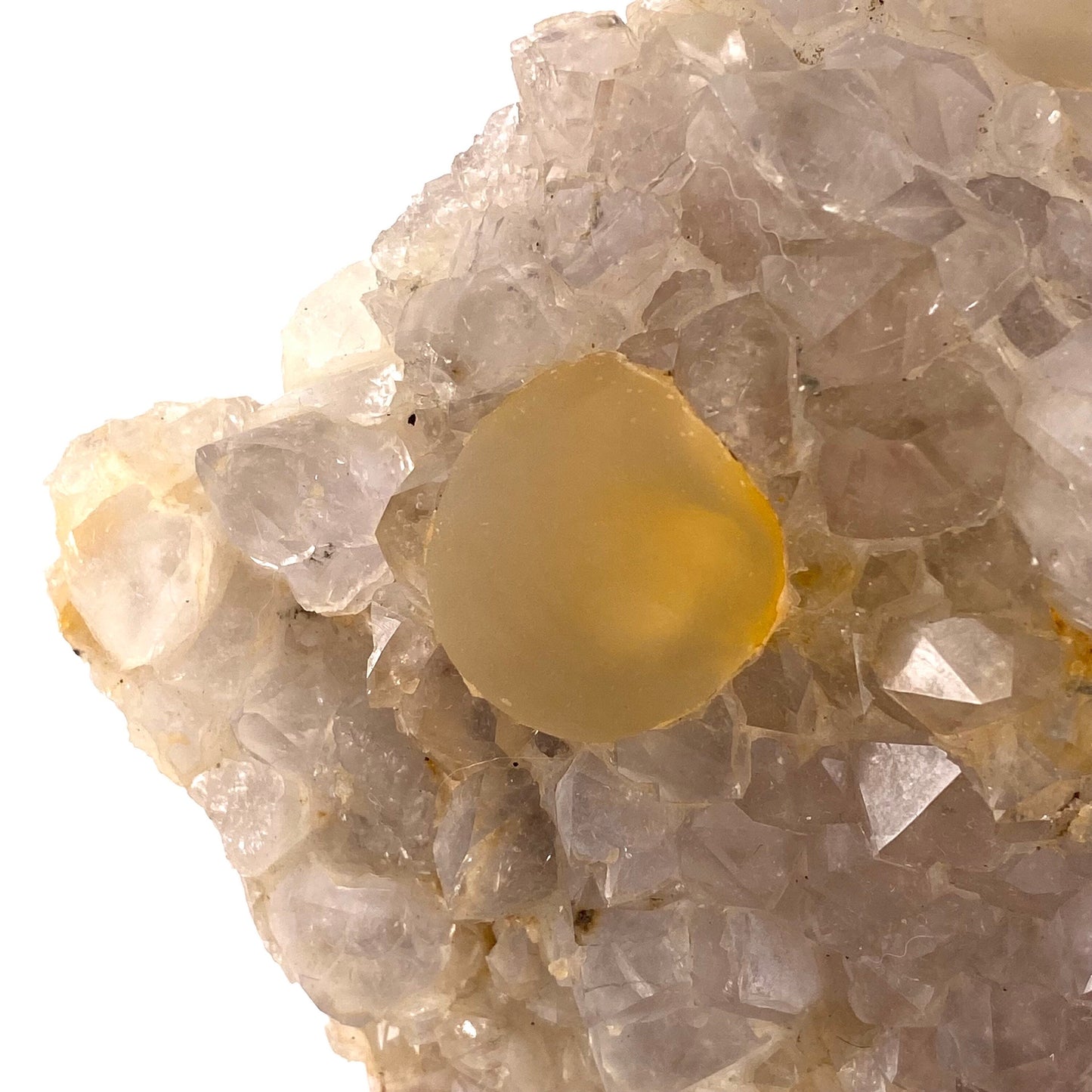 XXL Botryoidal Fluorite on Quartz (India) | fried egg crystal, egg fluorite, fluorite crystal, mineral specimen, yellow fluorite