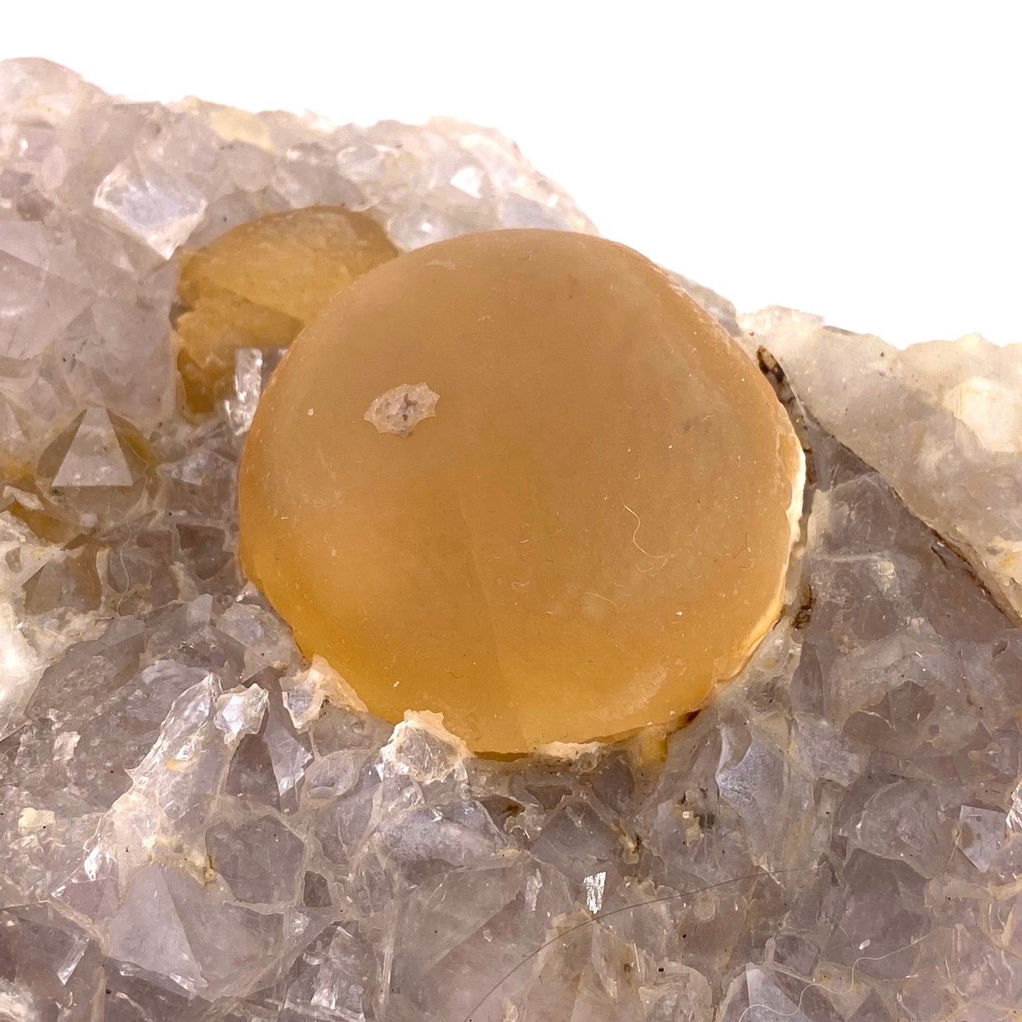 XXL Botryoidal Fluorite on Quartz (India) | fried egg crystal, egg fluorite, fluorite crystal, mineral specimen, yellow fluorite