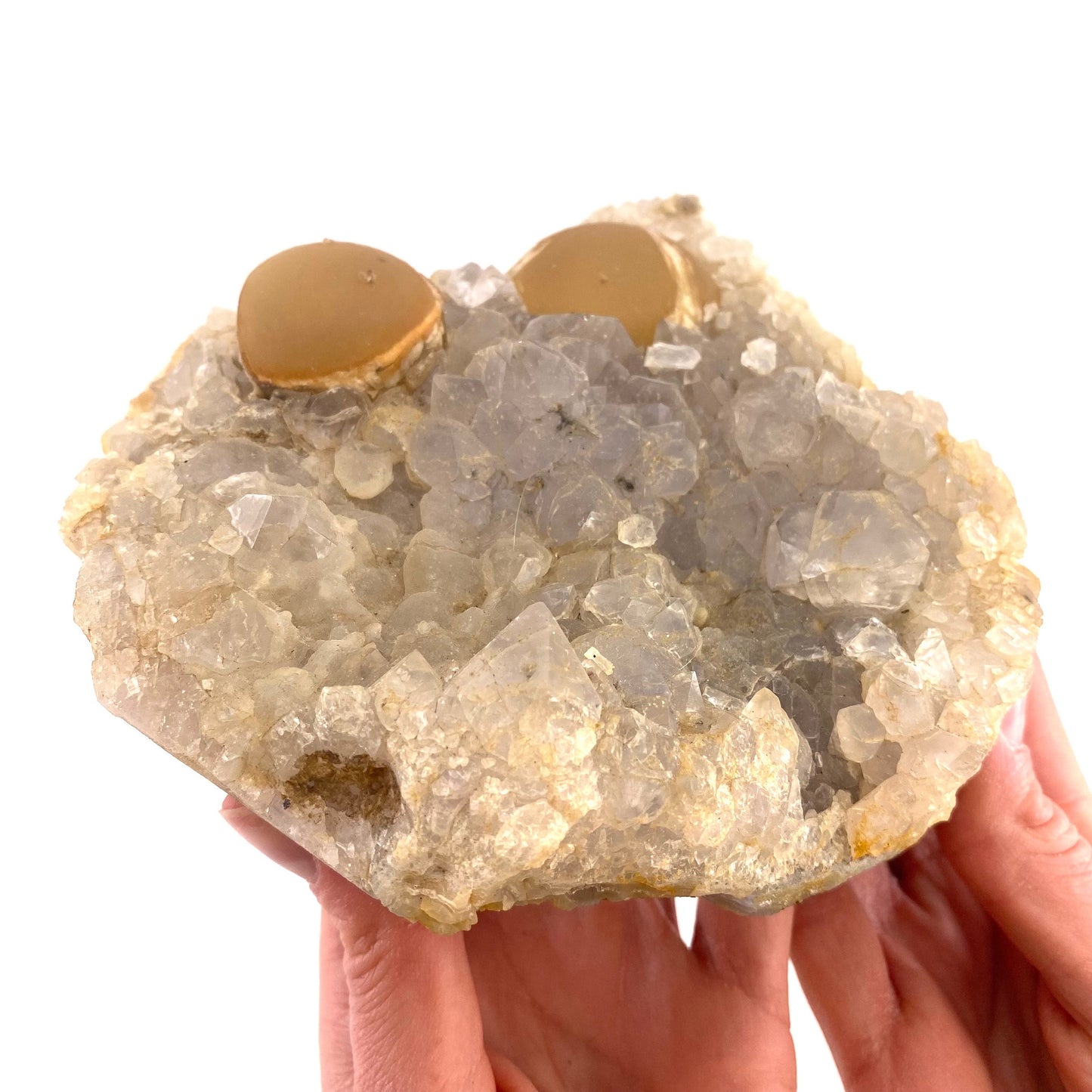 XXL Botryoidal Fluorite on Quartz (India) | fried egg crystal, egg fluorite, fluorite crystal, mineral specimen, yellow fluorite