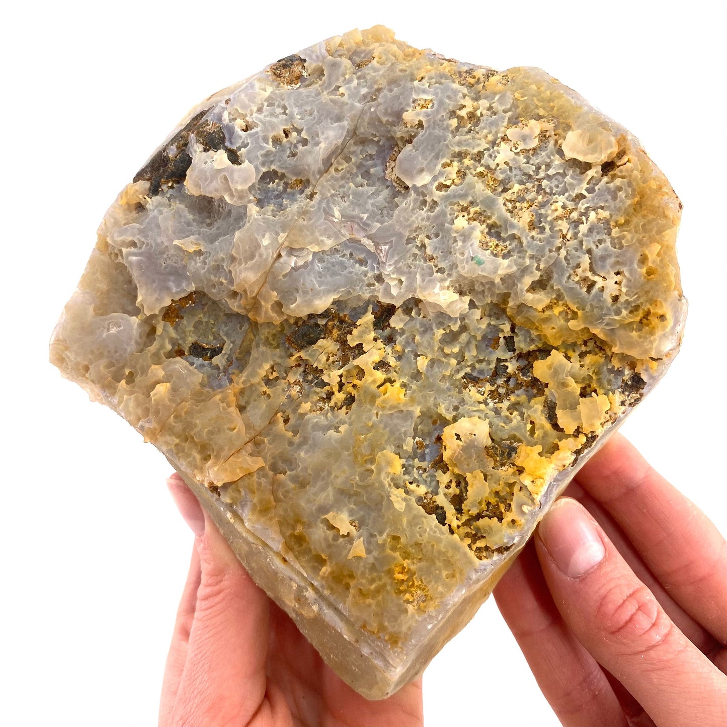 XXL Botryoidal Fluorite on Quartz (India) | fried egg crystal, egg fluorite, fluorite crystal, mineral specimen, yellow fluorite