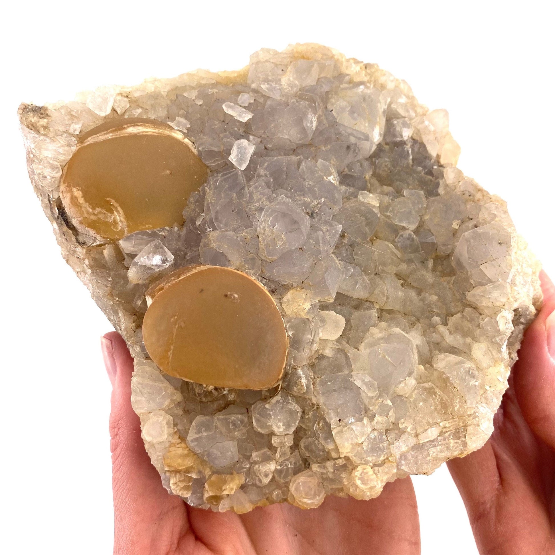 XXL Botryoidal Fluorite on Quartz (India) | fried egg crystal, egg fluorite, fluorite crystal, mineral specimen, yellow fluorite