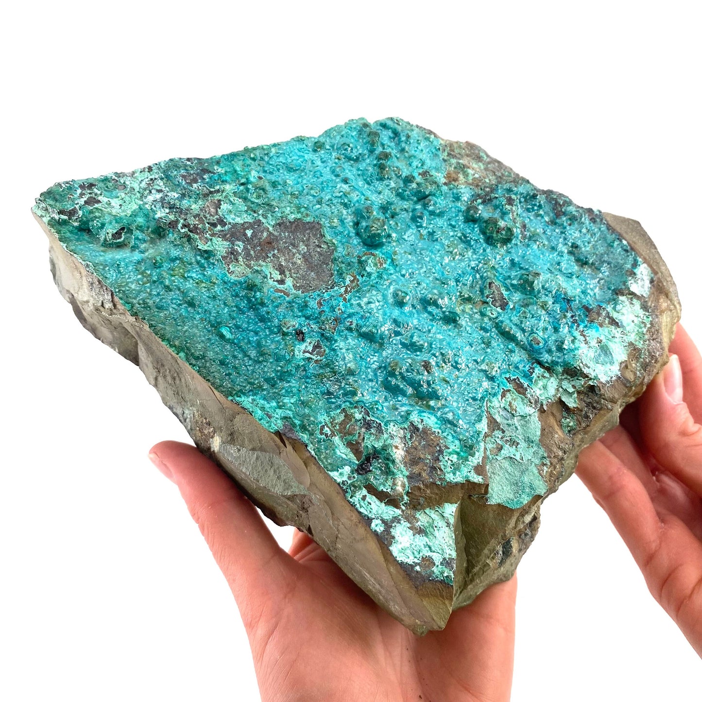 XXL Chrysocolla Specimen (Congo), raw chrysocolla, botryoidal chrysocolla, chrysocolla crystal, rare crystals