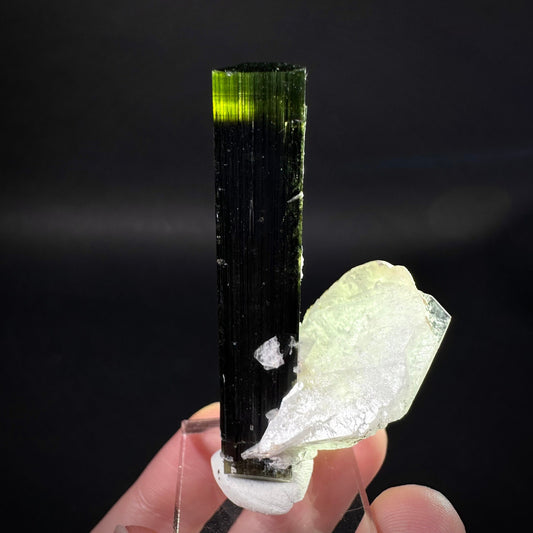 Green Cap Tourmaline with Albite (Pakistan) | raw tourmaline, green tourmaline, tourmaline crystal, rare minerals, rare crystals