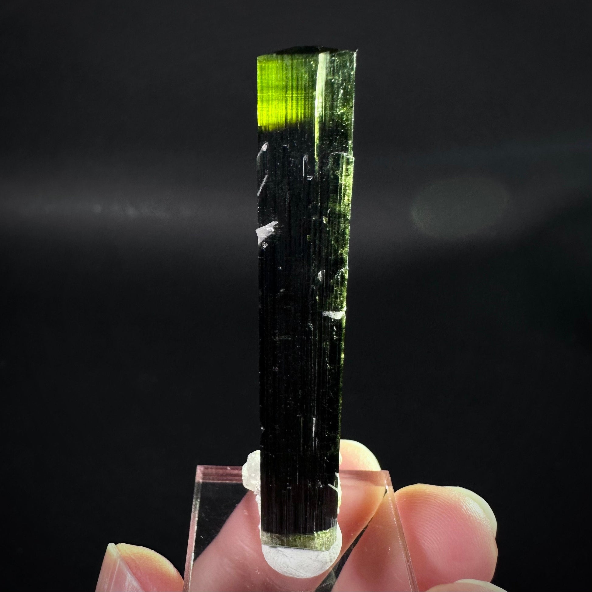 Green Cap Tourmaline with Albite (Pakistan) | raw tourmaline, green tourmaline, tourmaline crystal, rare minerals, rare crystals