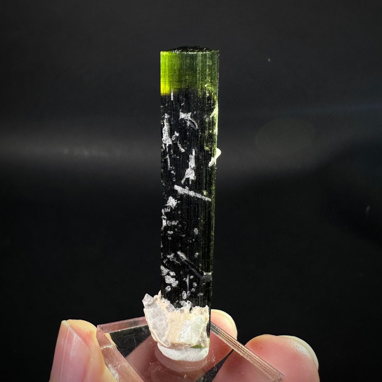 Green Cap Tourmaline with Albite (Pakistan) | raw tourmaline, green tourmaline, tourmaline crystal, rare minerals, rare crystals