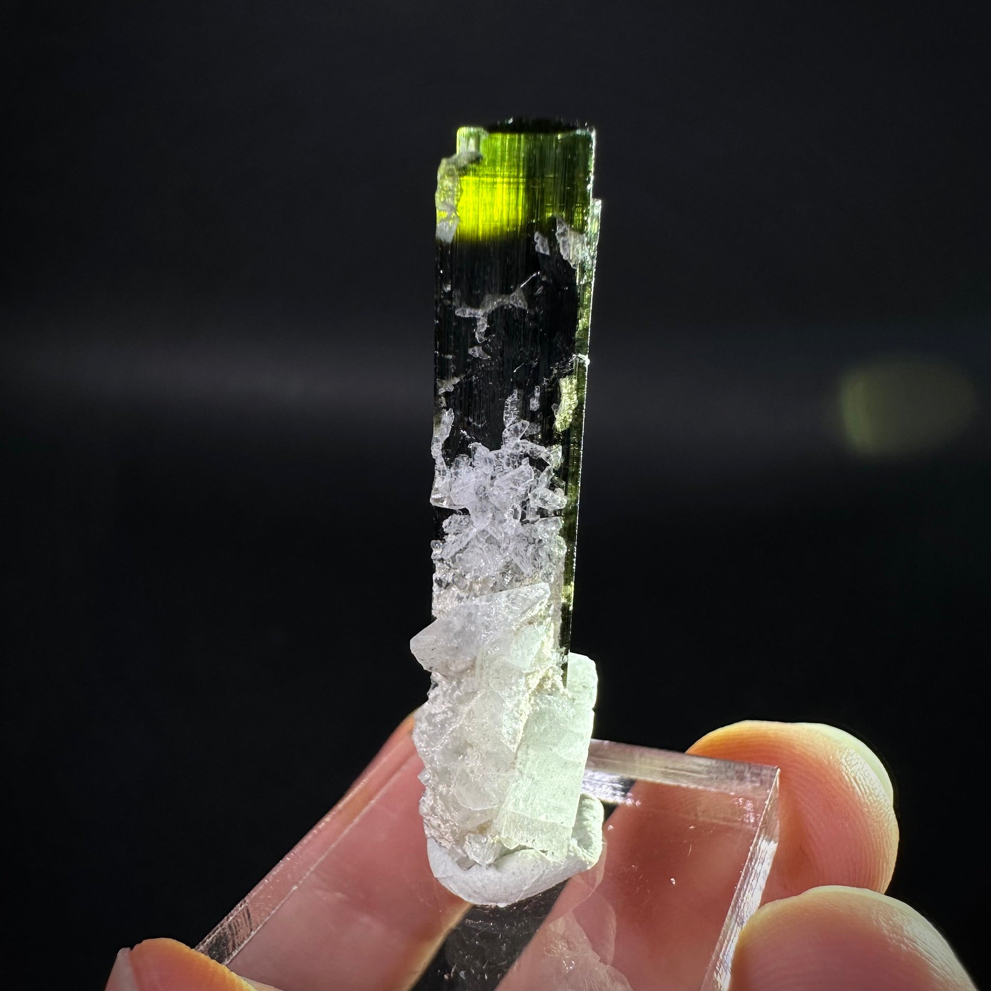 Green Cap Tourmaline with Albite (Pakistan) | raw tourmaline, green tourmaline, tourmaline crystal, rare minerals, rare crystals