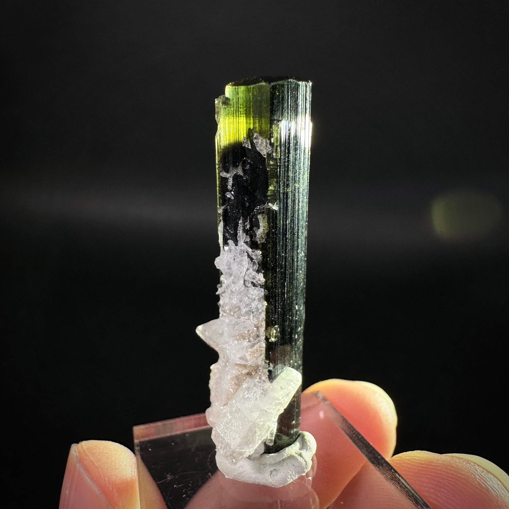 Green Cap Tourmaline with Albite (Pakistan) | raw tourmaline, green tourmaline, tourmaline crystal, rare minerals, rare crystals