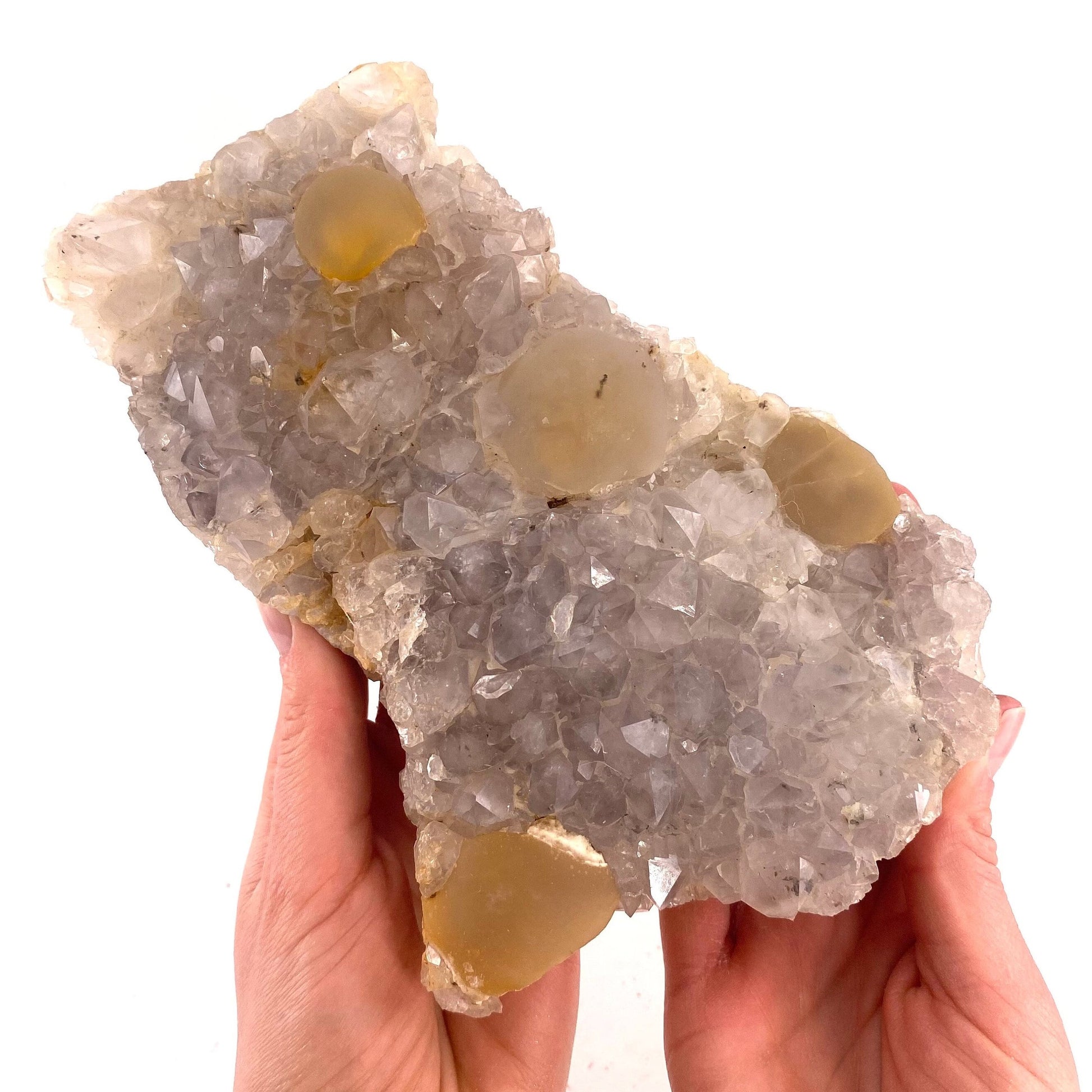 XXL Botryoidal Fluorite on Quartz (India) | fried egg crystal, egg fluorite, fluorite crystal, mineral specimen, yellow fluorite