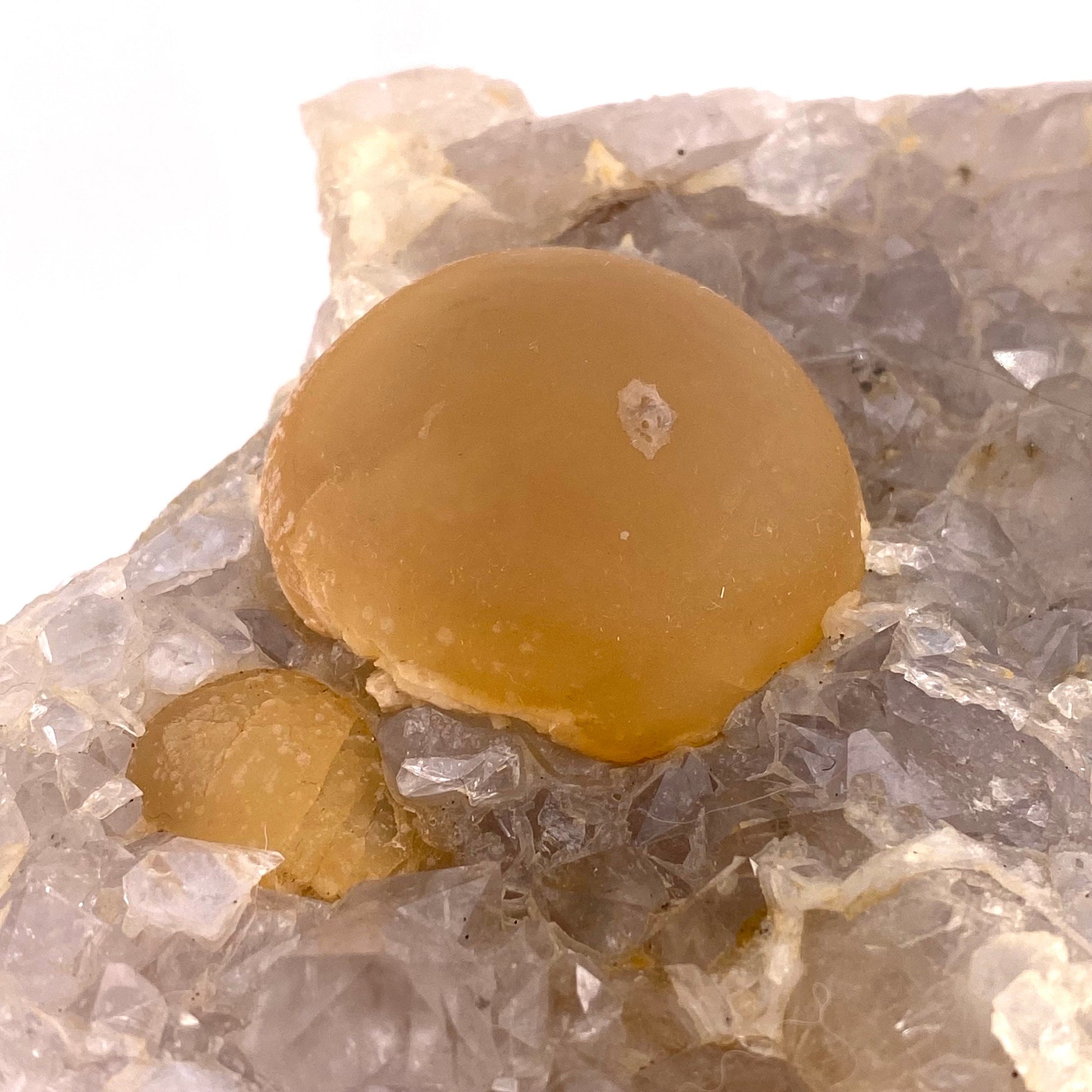XXL Botryoidal Fluorite on Quartz (India) | fried egg crystal, egg fluorite, fluorite crystal, mineral specimen, yellow fluorite