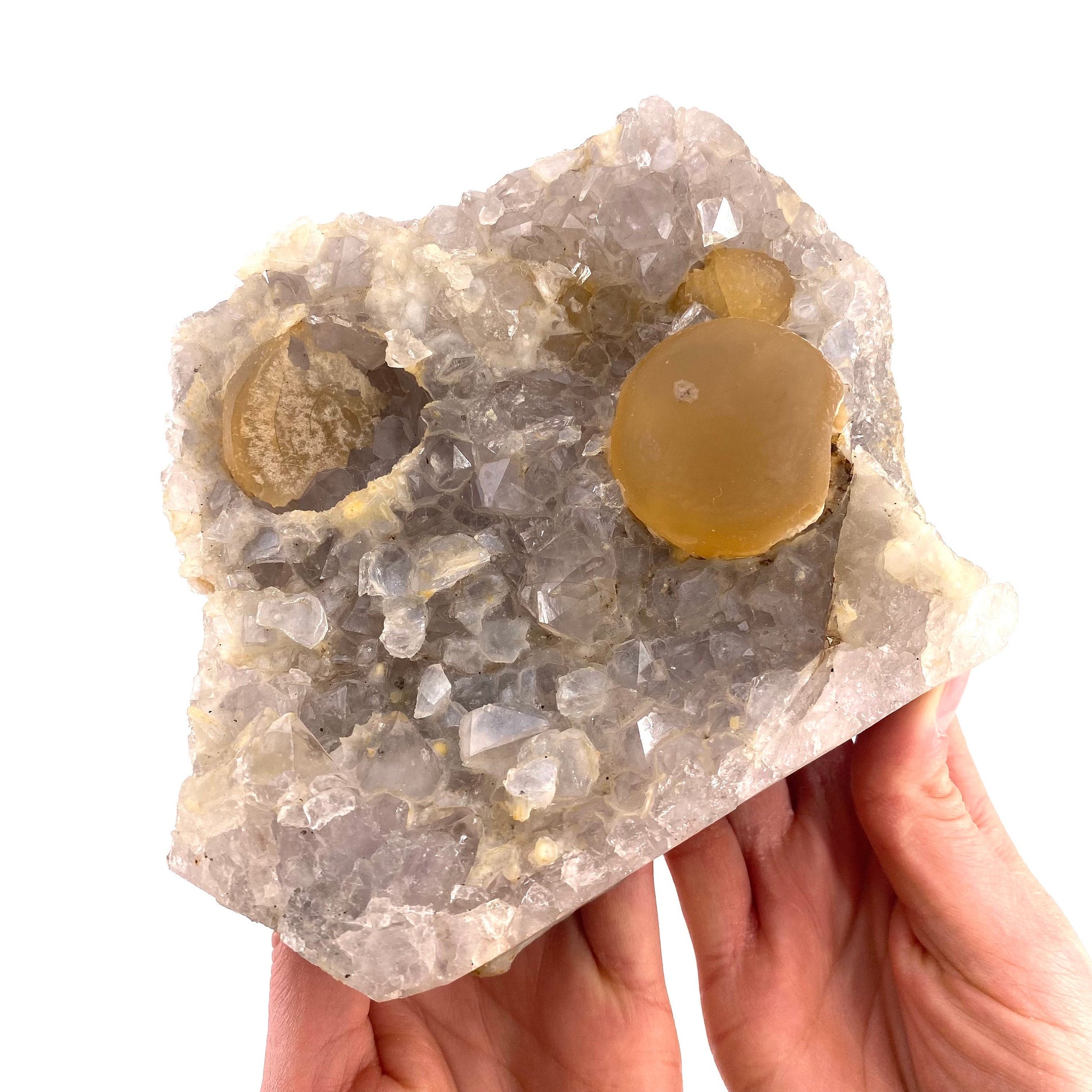 XXL Botryoidal Fluorite on Quartz (India) | fried egg crystal, egg fluorite, fluorite crystal, mineral specimen, yellow fluorite