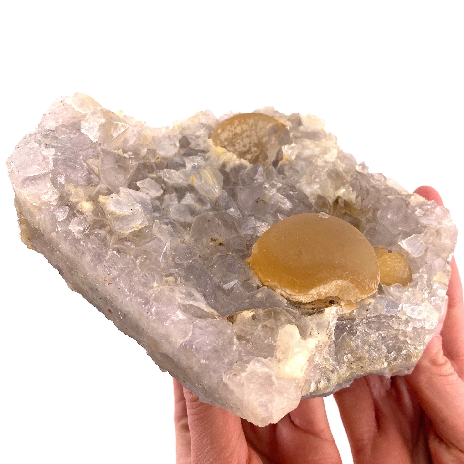 XXL Botryoidal Fluorite on Quartz (India) | fried egg crystal, egg fluorite, fluorite crystal, mineral specimen, yellow fluorite