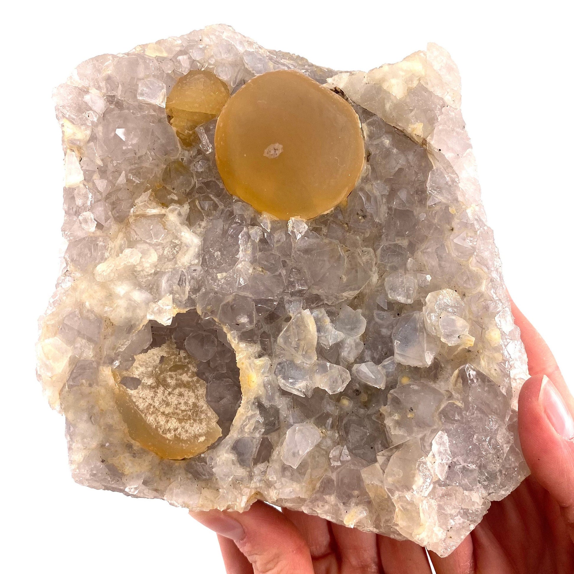 XXL Botryoidal Fluorite on Quartz (India) | fried egg crystal, egg fluorite, fluorite crystal, mineral specimen, yellow fluorite