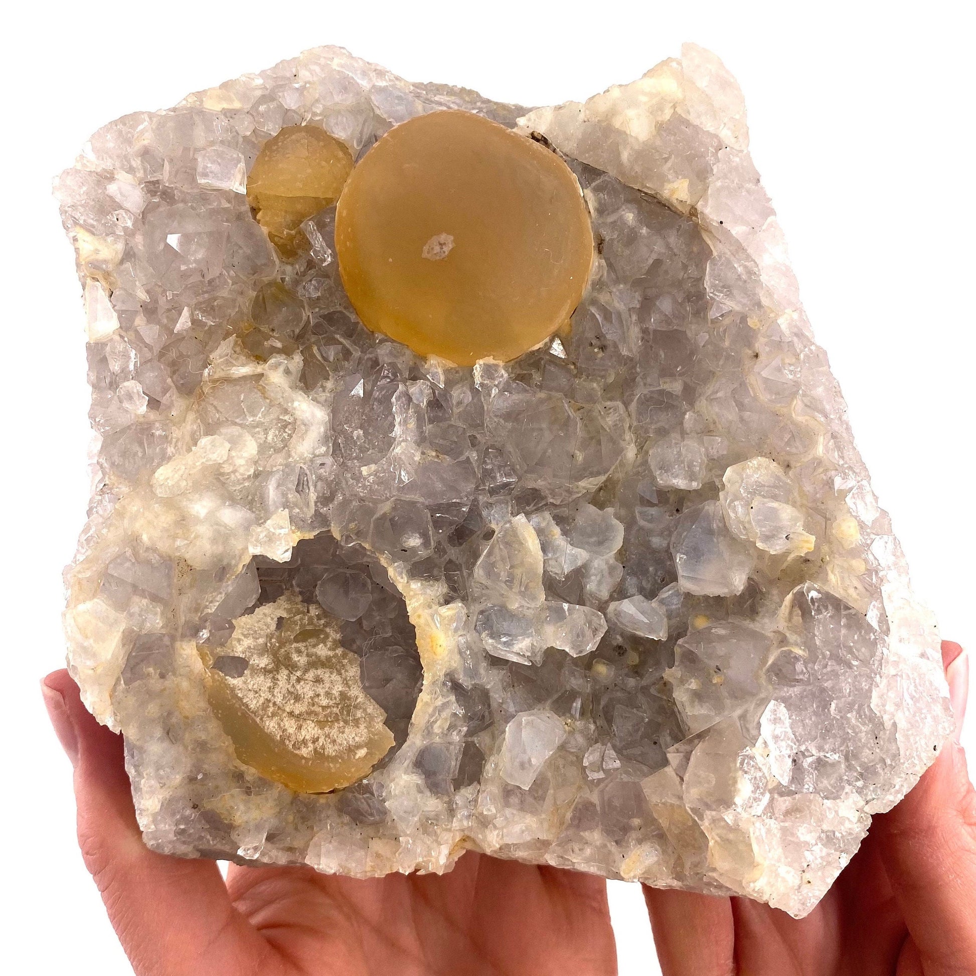 XXL Botryoidal Fluorite on Quartz (India) | fried egg crystal, egg fluorite, fluorite crystal, mineral specimen, yellow fluorite