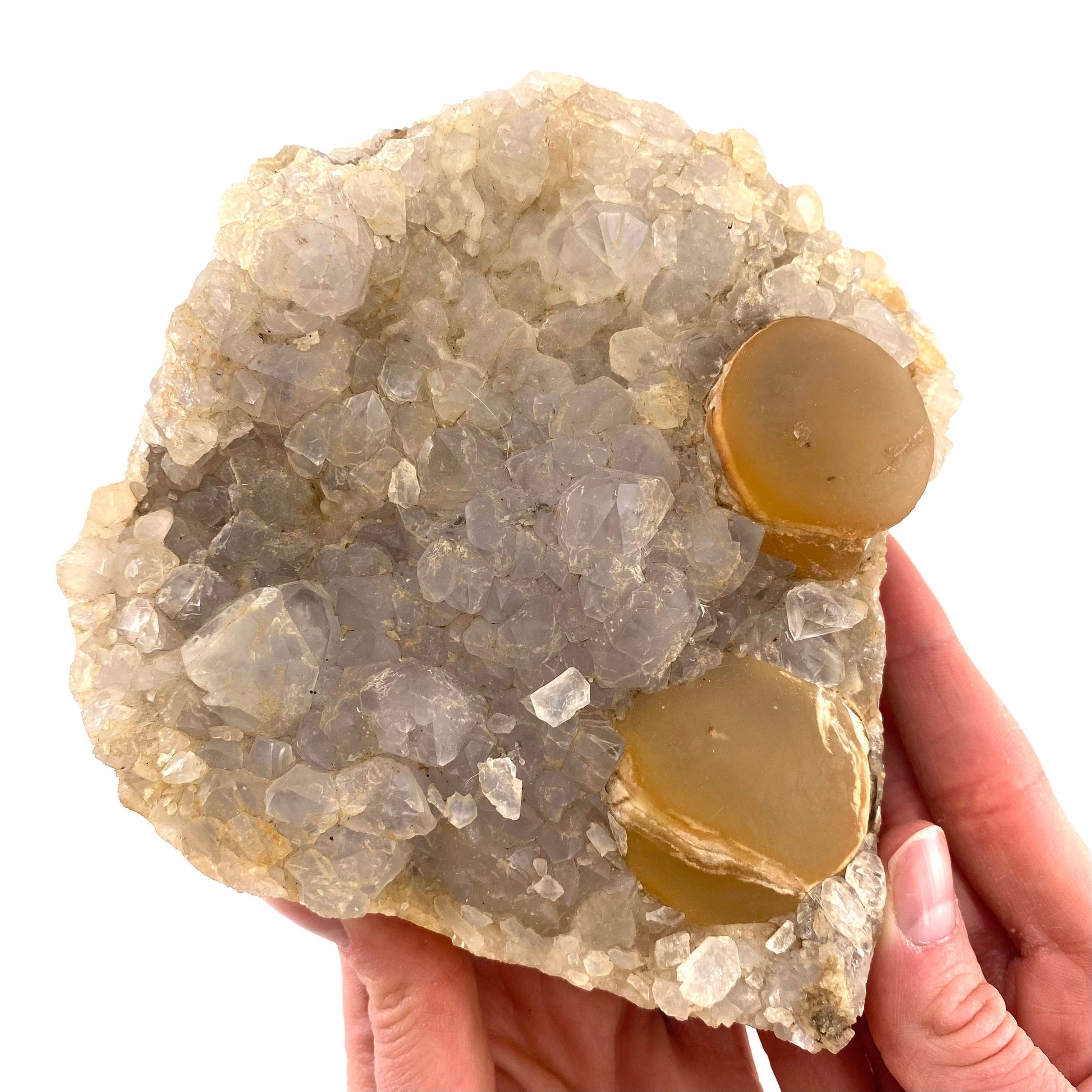 XXL Botryoidal Fluorite on Quartz (India) | fried egg crystal, egg fluorite, fluorite crystal, mineral specimen, yellow fluorite