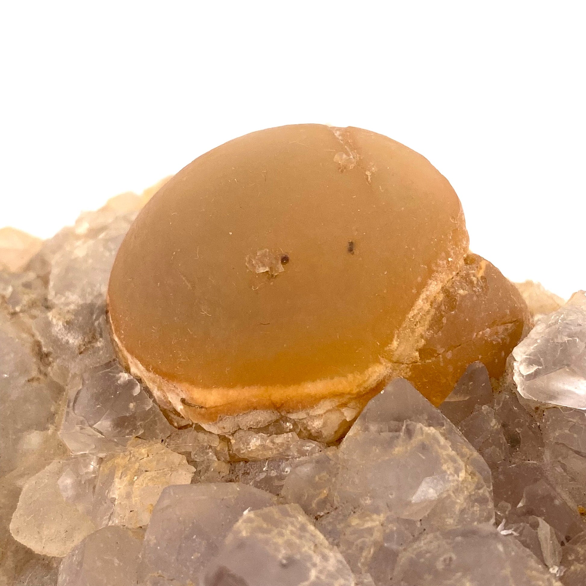 XXL Botryoidal Fluorite on Quartz (India) | fried egg crystal, egg fluorite, fluorite crystal, mineral specimen, yellow fluorite