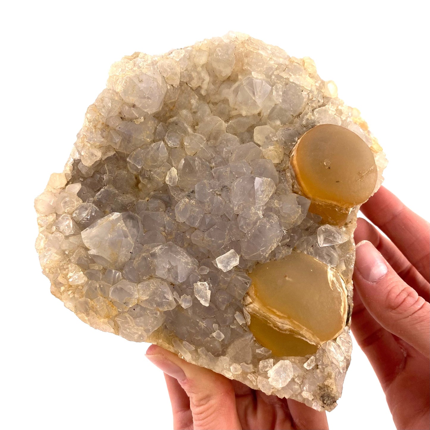 XXL Botryoidal Fluorite on Quartz (India) | fried egg crystal, egg fluorite, fluorite crystal, mineral specimen, yellow fluorite