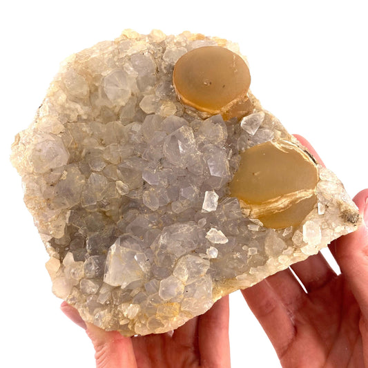XXL Botryoidal Fluorite on Quartz (India) | fried egg crystal, egg fluorite, fluorite crystal, mineral specimen, yellow fluorite