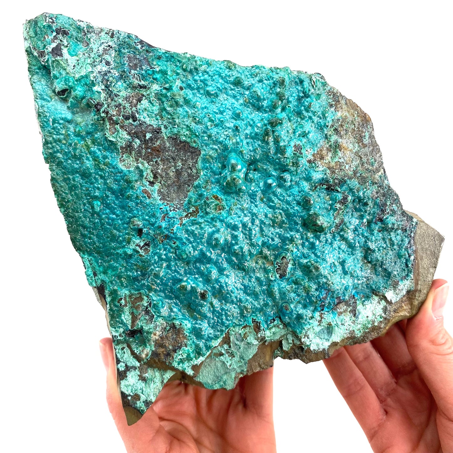 XXL Chrysocolla Specimen (Congo), raw chrysocolla, botryoidal chrysocolla, chrysocolla crystal, rare crystals