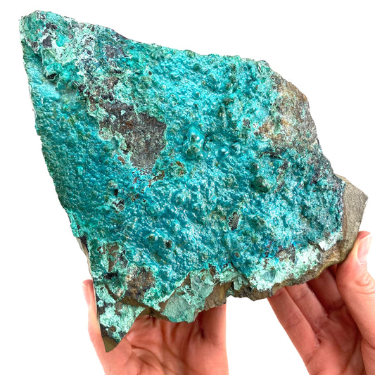 XXL Chrysocolla Specimen (Congo), raw chrysocolla, botryoidal chrysocolla, chrysocolla crystal, rare crystals
