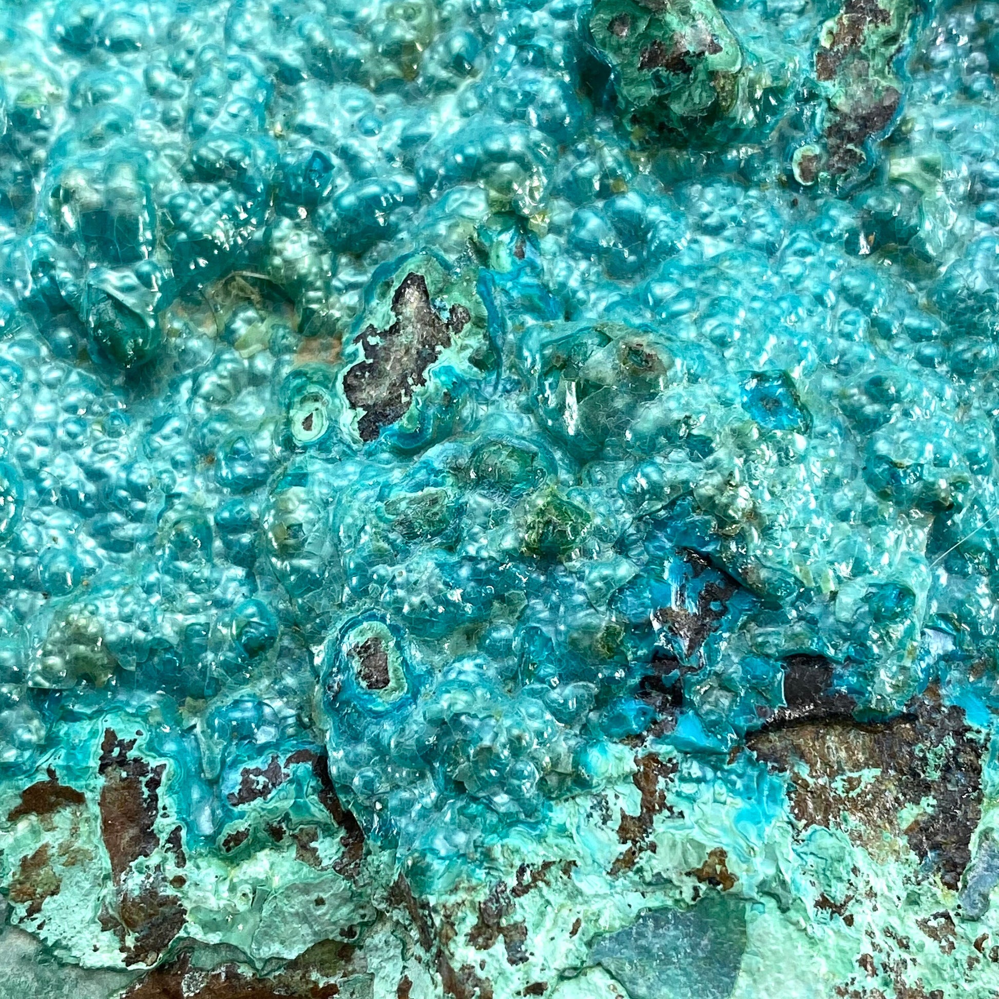 XXL Chrysocolla Specimen (Congo), raw chrysocolla, botryoidal chrysocolla, chrysocolla crystal, rare crystals