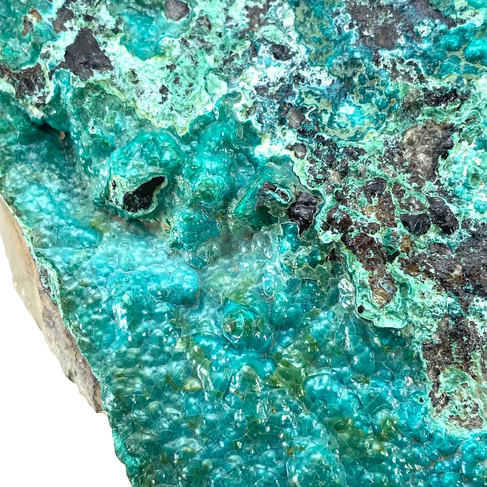 XXL Chrysocolla Specimen (Congo), raw chrysocolla, botryoidal chrysocolla, chrysocolla crystal, rare crystals