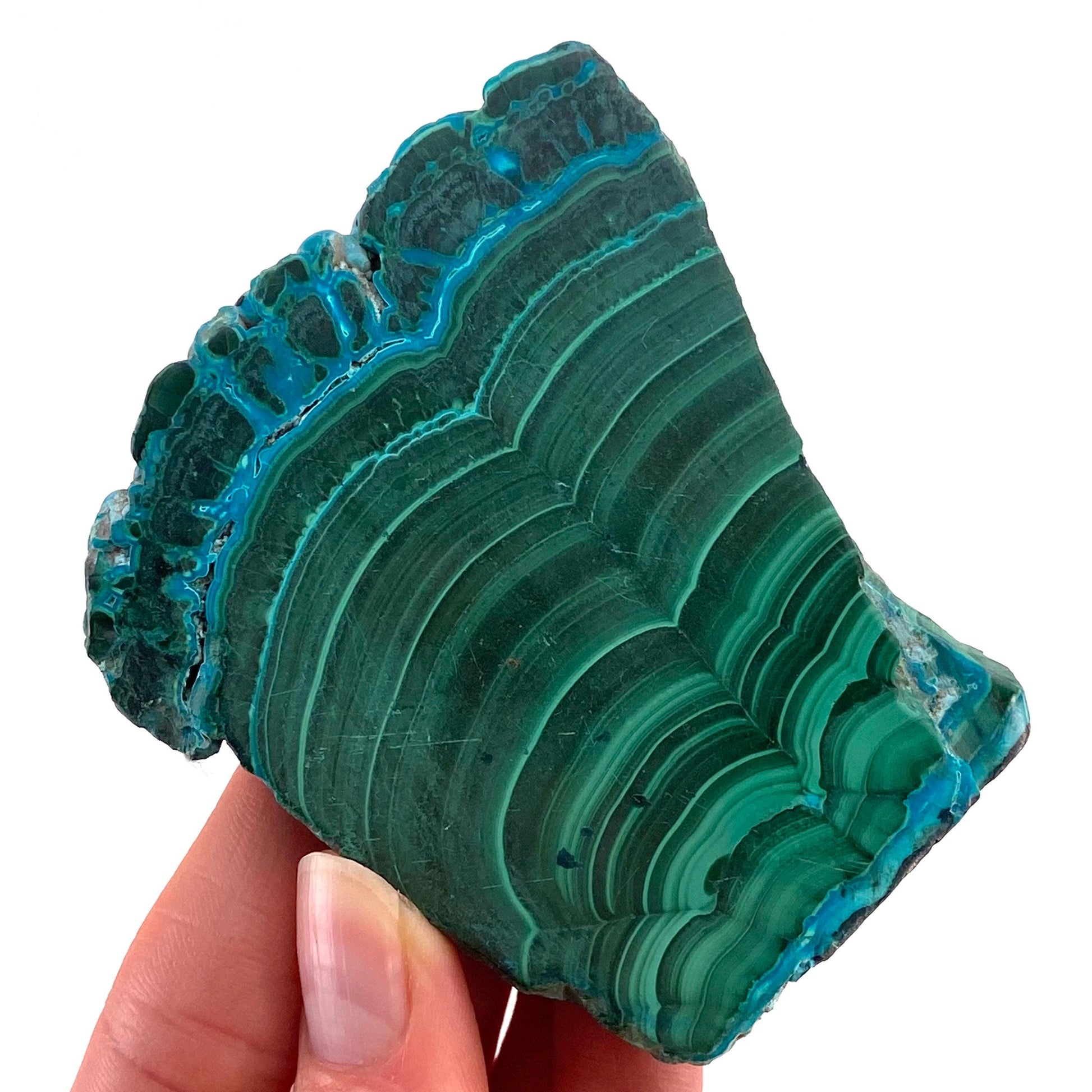 Malachite & Chrysocolla Slice (Congo), natural malachite, malachite slice, malachite slab, malacolla slice, polished malachite