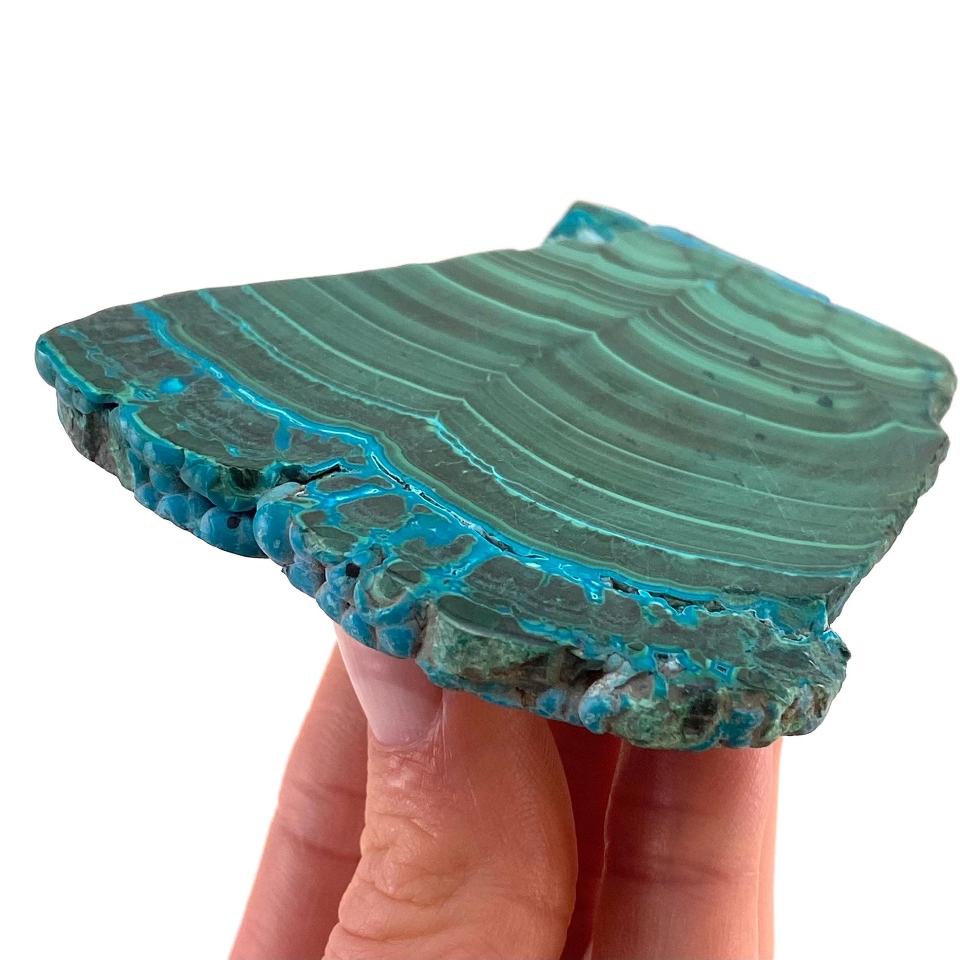 Malachite & Chrysocolla Slice (Congo), natural malachite, malachite slice, malachite slab, malacolla slice, polished malachite