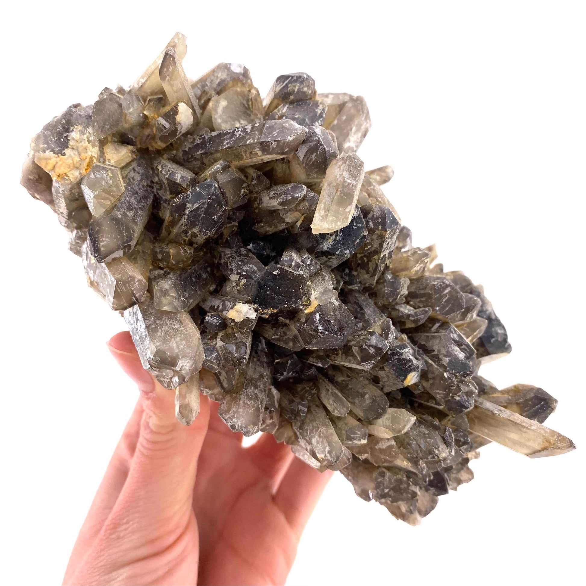 XL Smoky Quartz Cluster, irradiated smoky quartz crystal, raw smoky quartz, smoky quartz point