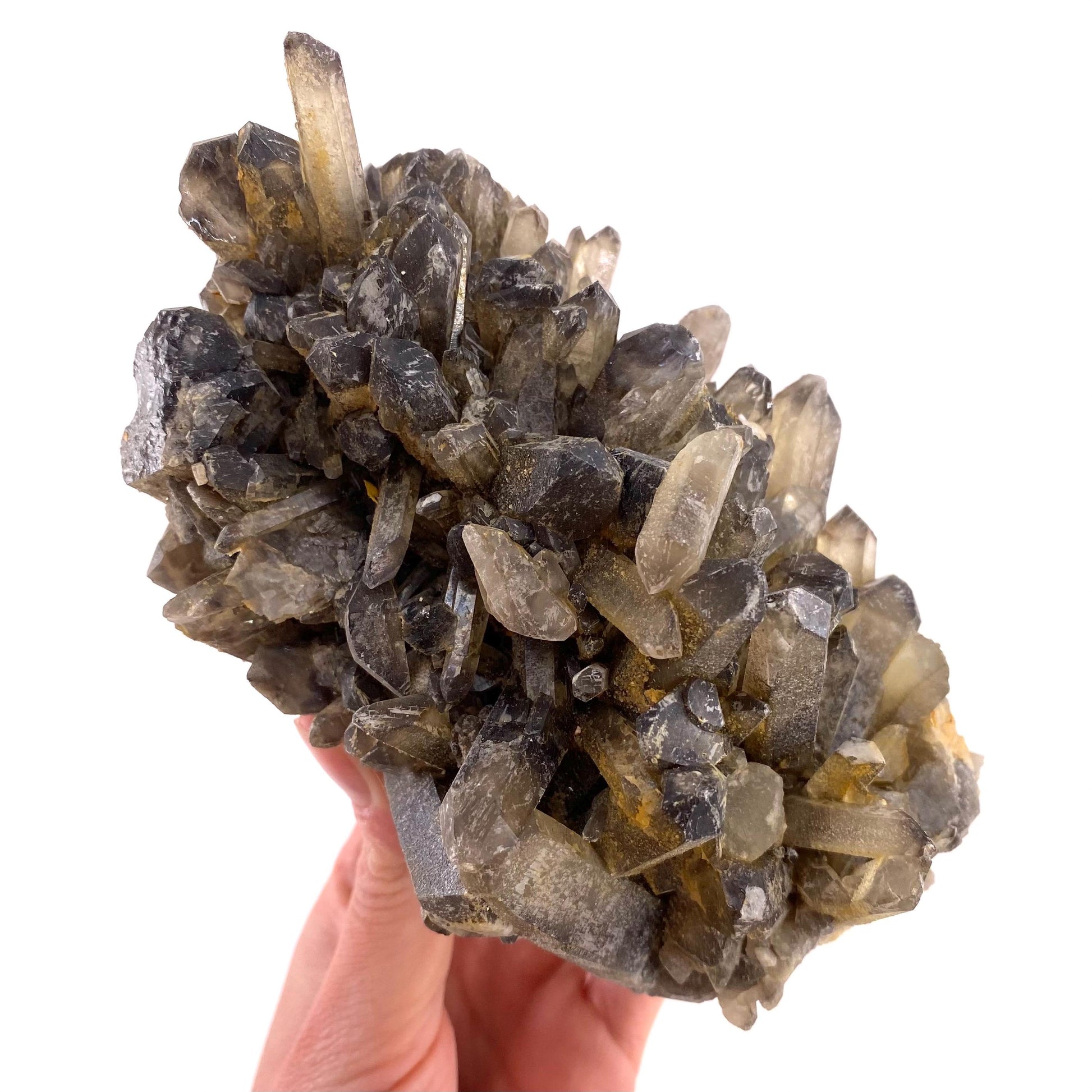 XL Smoky Quartz Cluster, irradiated smoky quartz crystal, raw smoky quartz, smoky quartz point