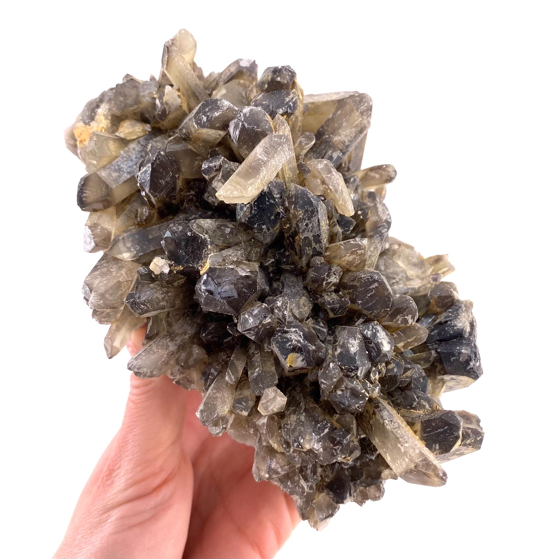 XL Smoky Quartz Cluster, irradiated smoky quartz crystal, raw smoky quartz, smoky quartz point