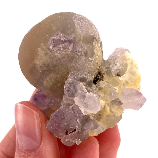 Botryoidal Fluorite on Quartz (India) | fried egg crystal, egg fluorite, fluorite crystal, mineral specimen, yellow fluorite