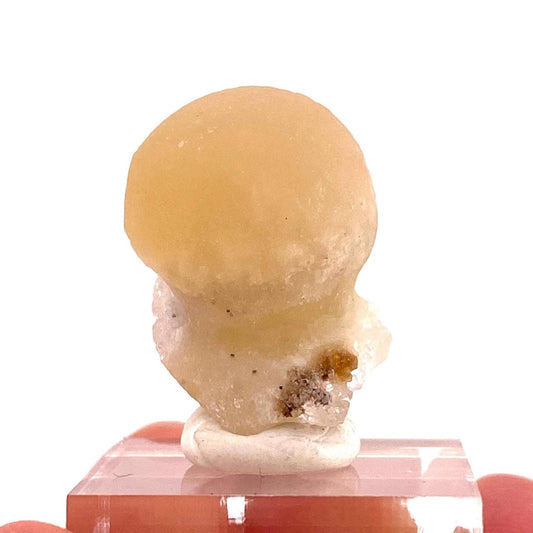 Botryoidal Fluorite on Quartz (India) | fried egg crystal, egg fluorite, fluorite crystal, mineral specimen, yellow fluorite