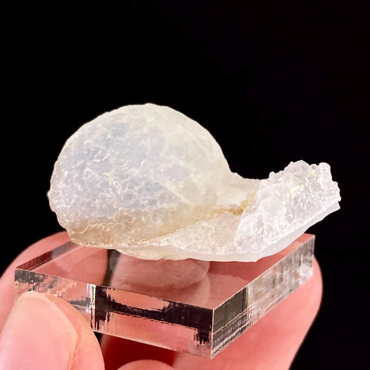 Botryoidal Fluorite on Quartz (India) | fried egg crystal, egg fluorite, fluorite crystal, mineral specimen, yellow fluorite