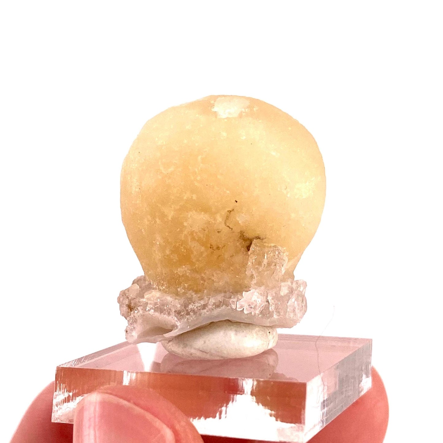Botryoidal Fluorite on Quartz (India) | fried egg crystal, egg fluorite, fluorite crystal, mineral specimen, yellow fluorite