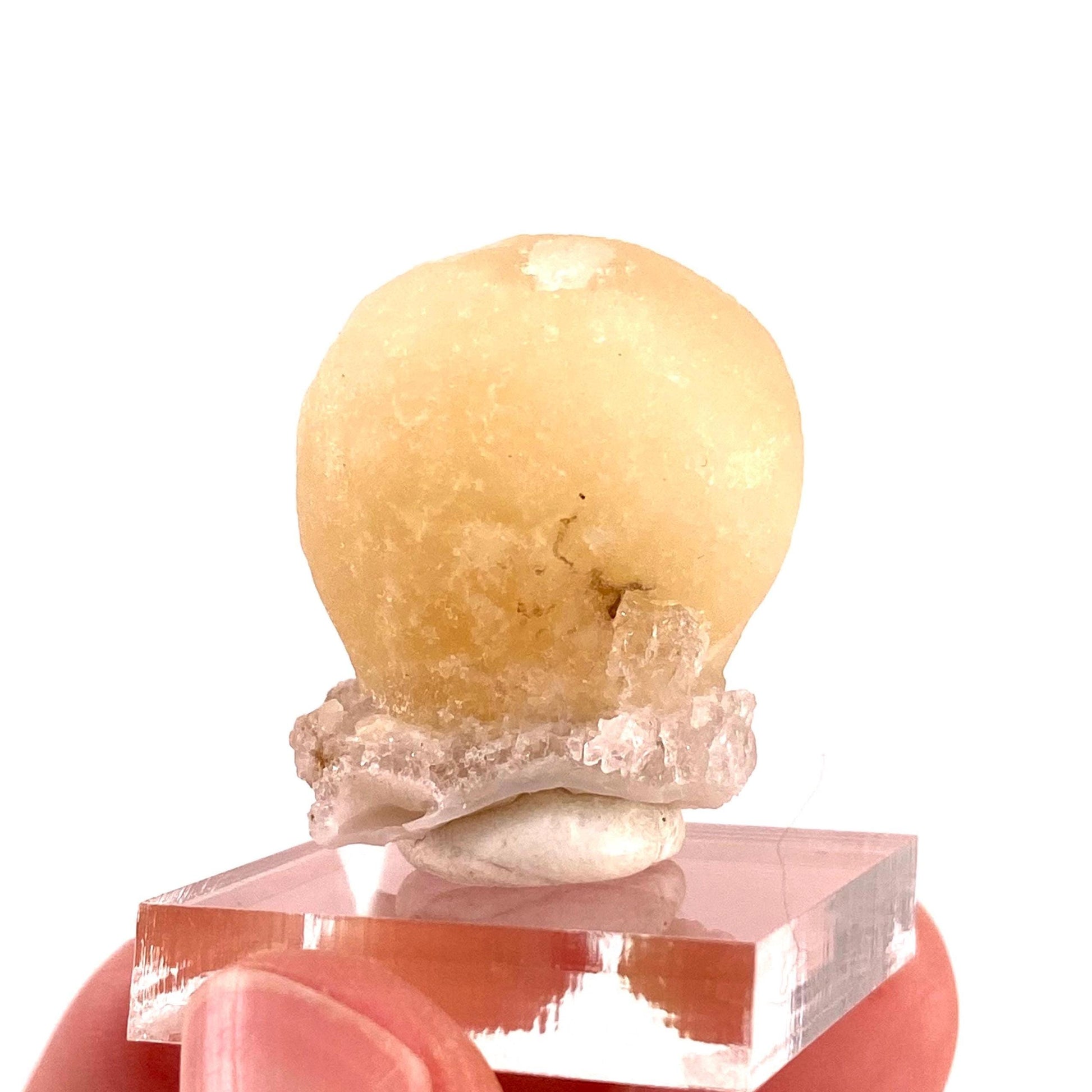 Botryoidal Fluorite on Quartz (India) | fried egg crystal, egg fluorite, fluorite crystal, mineral specimen, yellow fluorite