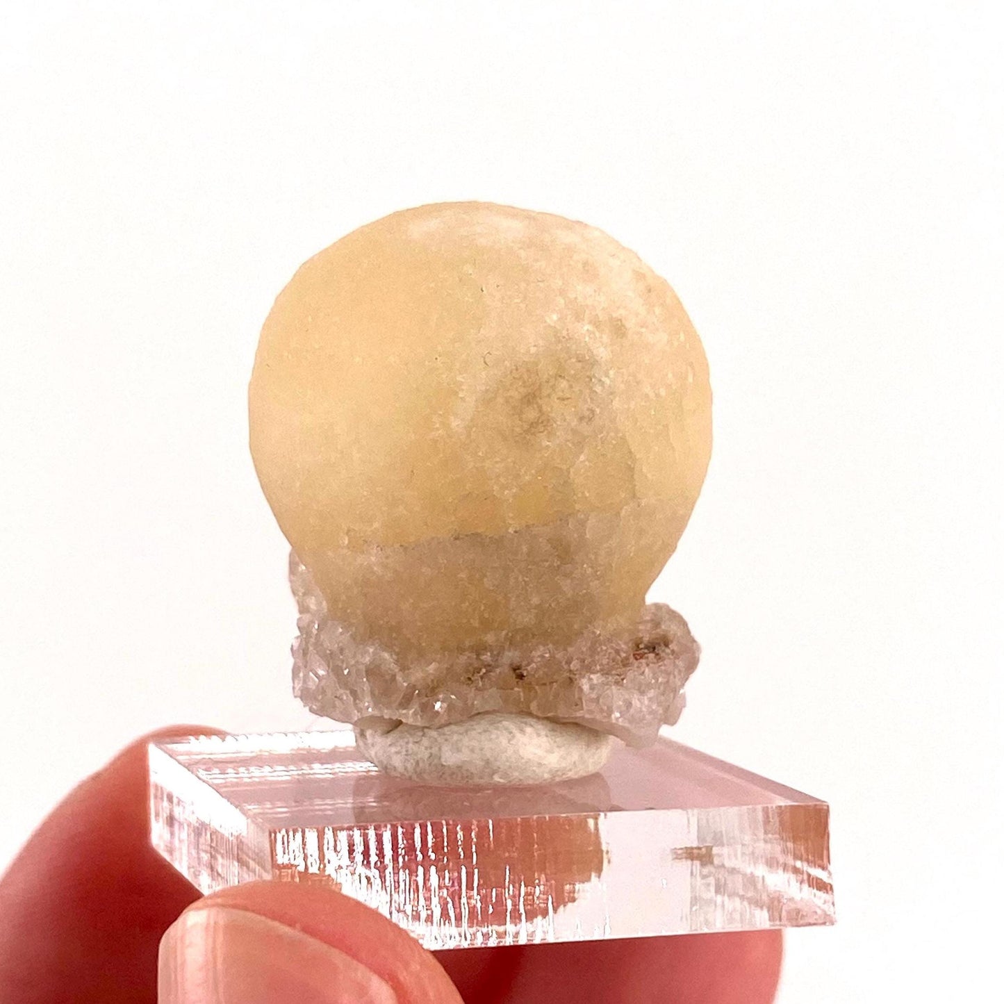Botryoidal Fluorite on Quartz (India) | fried egg crystal, egg fluorite, fluorite crystal, mineral specimen, yellow fluorite