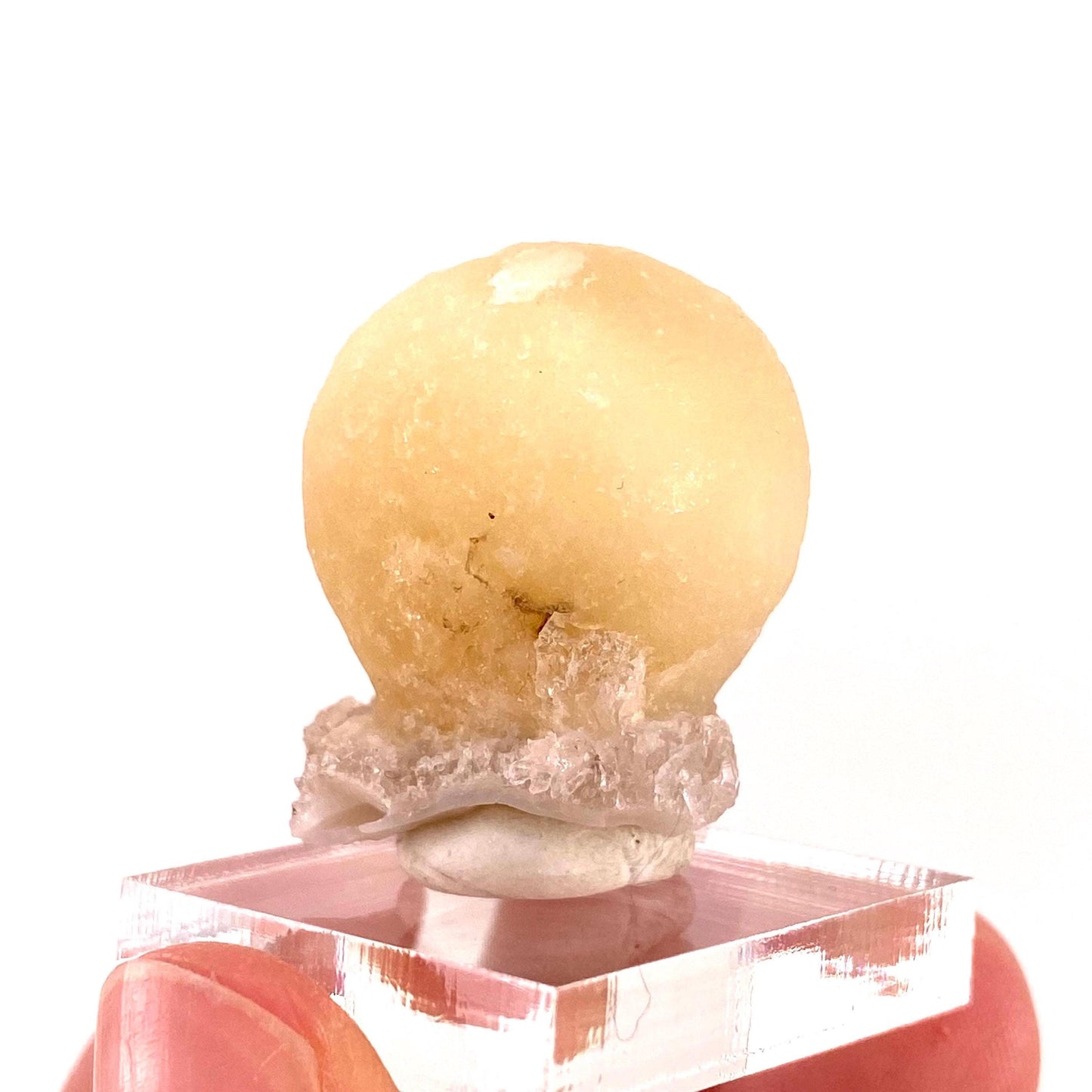 Botryoidal Fluorite on Quartz (India) | fried egg crystal, egg fluorite, fluorite crystal, mineral specimen, yellow fluorite
