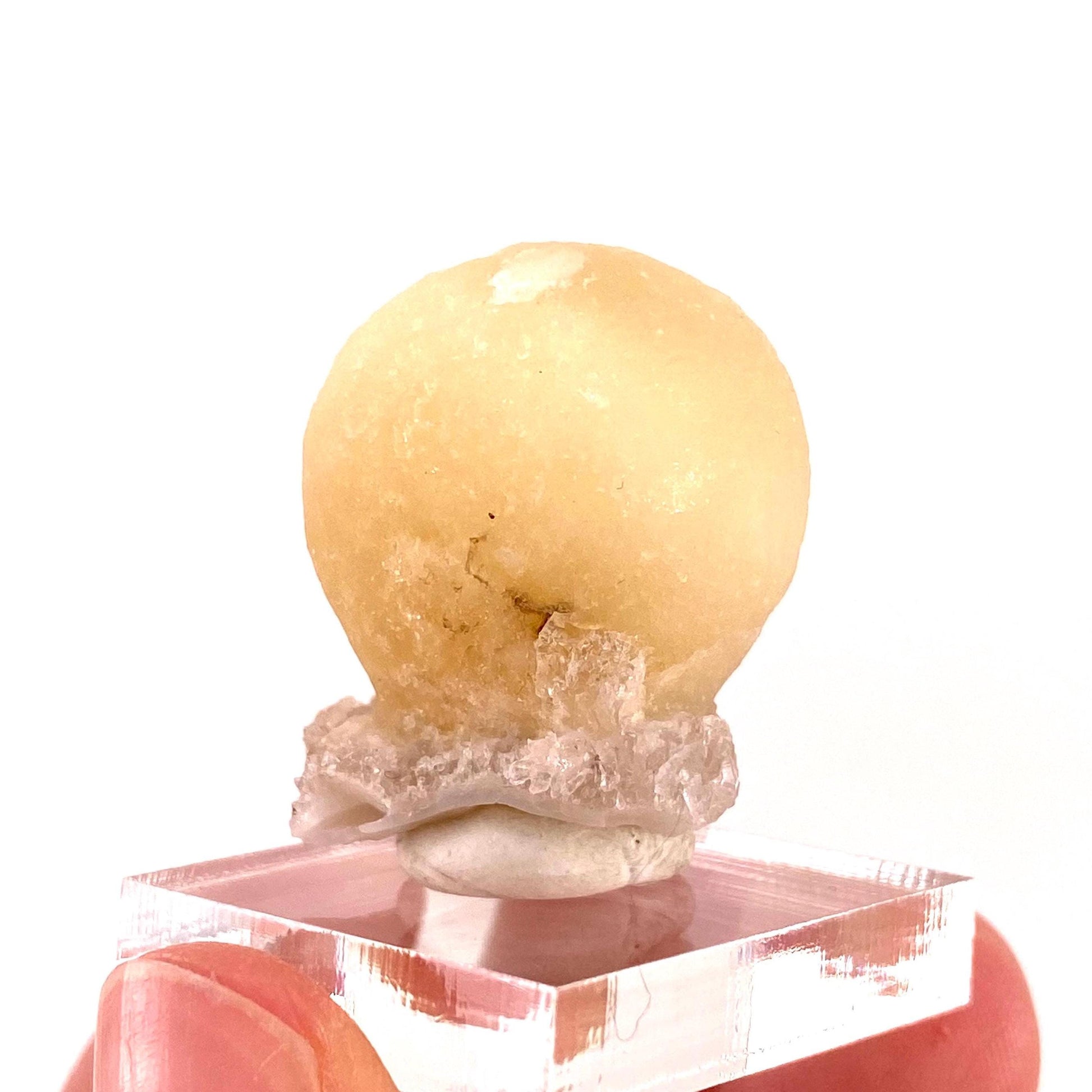 Botryoidal Fluorite on Quartz (India) | fried egg crystal, egg fluorite, fluorite crystal, mineral specimen, yellow fluorite