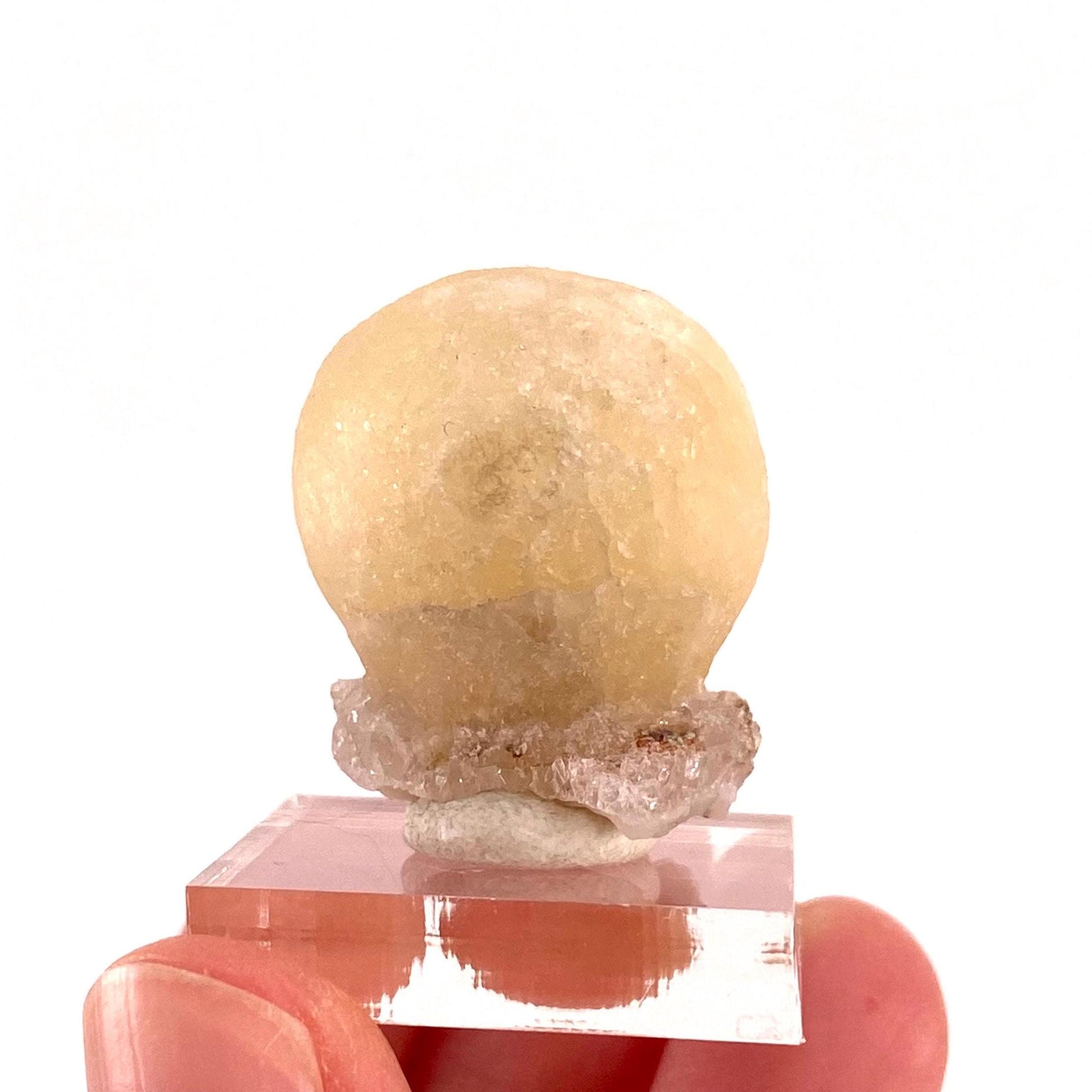 Botryoidal Fluorite on Quartz (India) | fried egg crystal, egg fluorite, fluorite crystal, mineral specimen, yellow fluorite