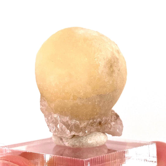 Botryoidal Fluorite on Quartz (India) | fried egg crystal, egg fluorite, fluorite crystal, mineral specimen, yellow fluorite