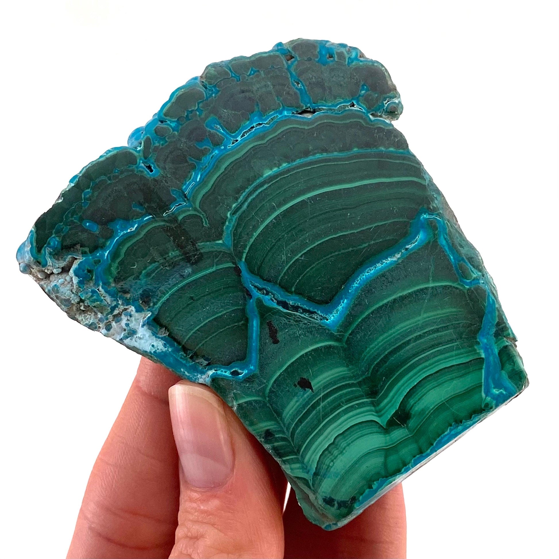 Malachite & Chrysocolla Slice (Congo), natural malachite, malachite slice, malachite slab, malacolla slice, polished malachite