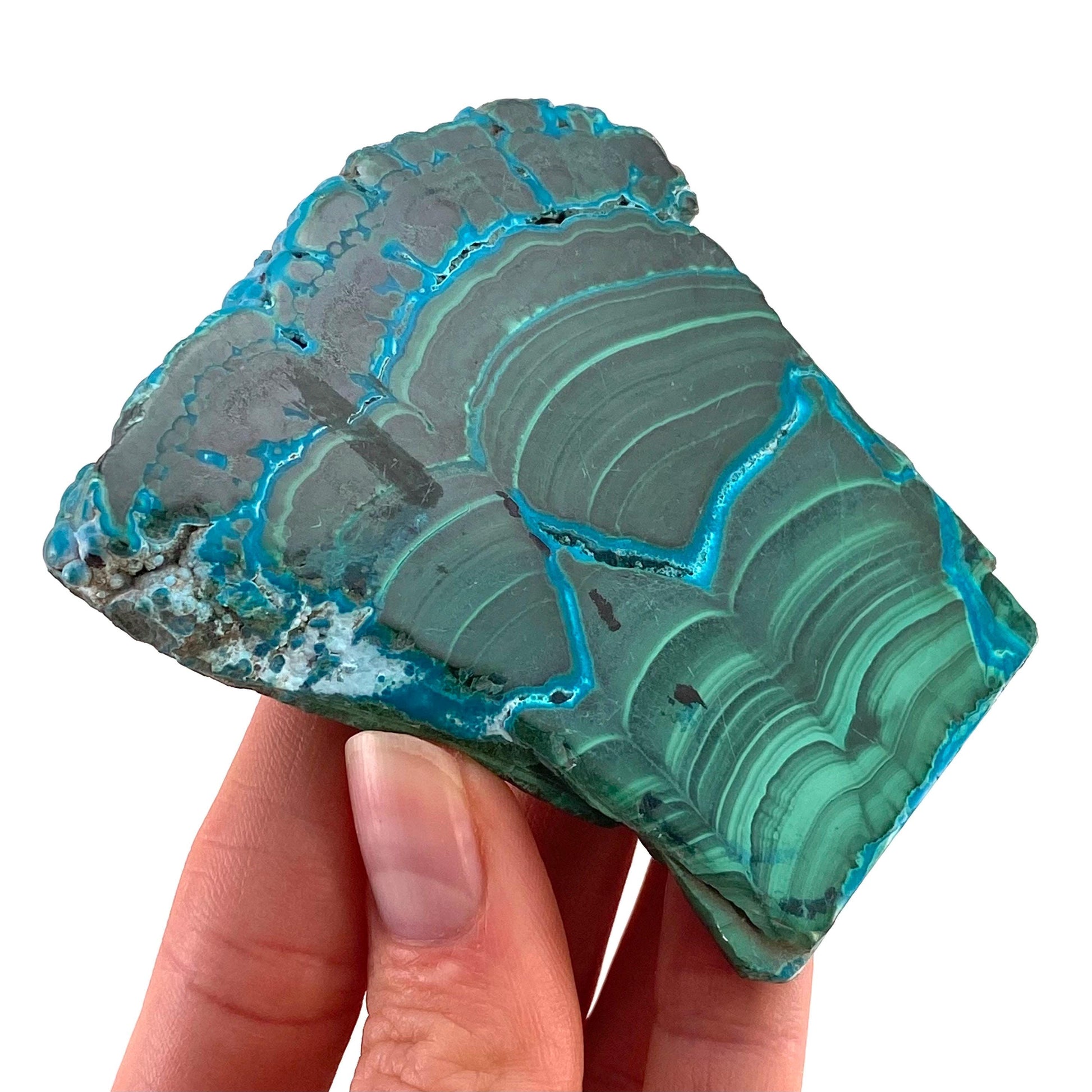 Malachite & Chrysocolla Slice (Congo), natural malachite, malachite slice, malachite slab, malacolla slice, polished malachite