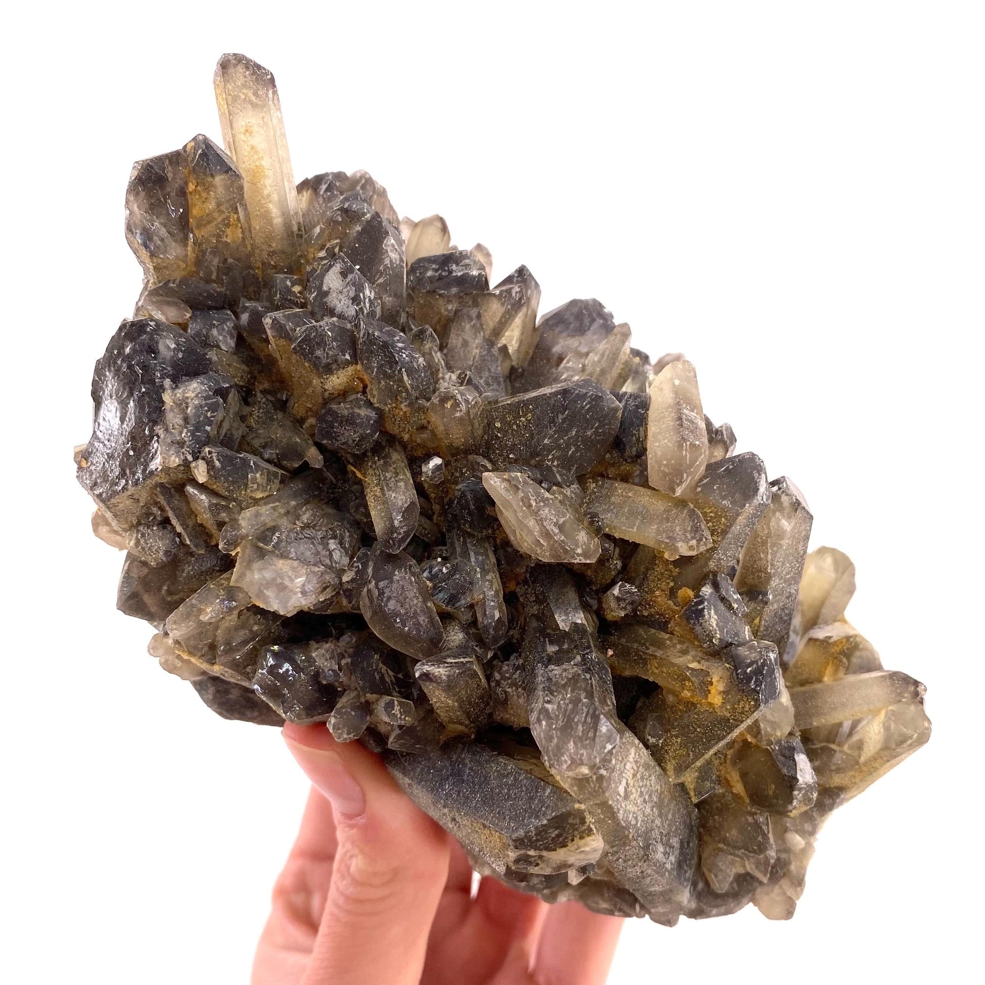 XL Smoky Quartz Cluster, irradiated smoky quartz crystal, raw smoky quartz, smoky quartz point