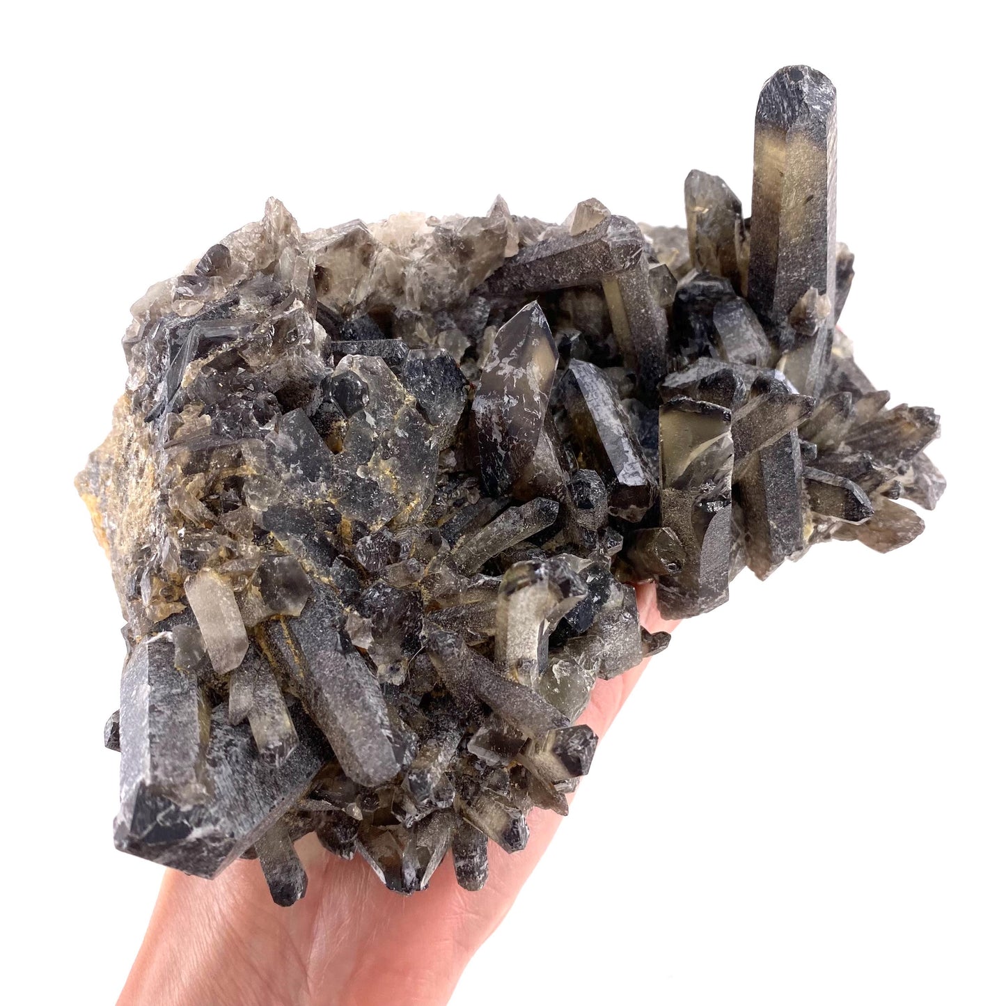 XL Smoky Quartz Cluster, irradiated smoky quartz crystal, raw smoky quartz, smoky quartz point