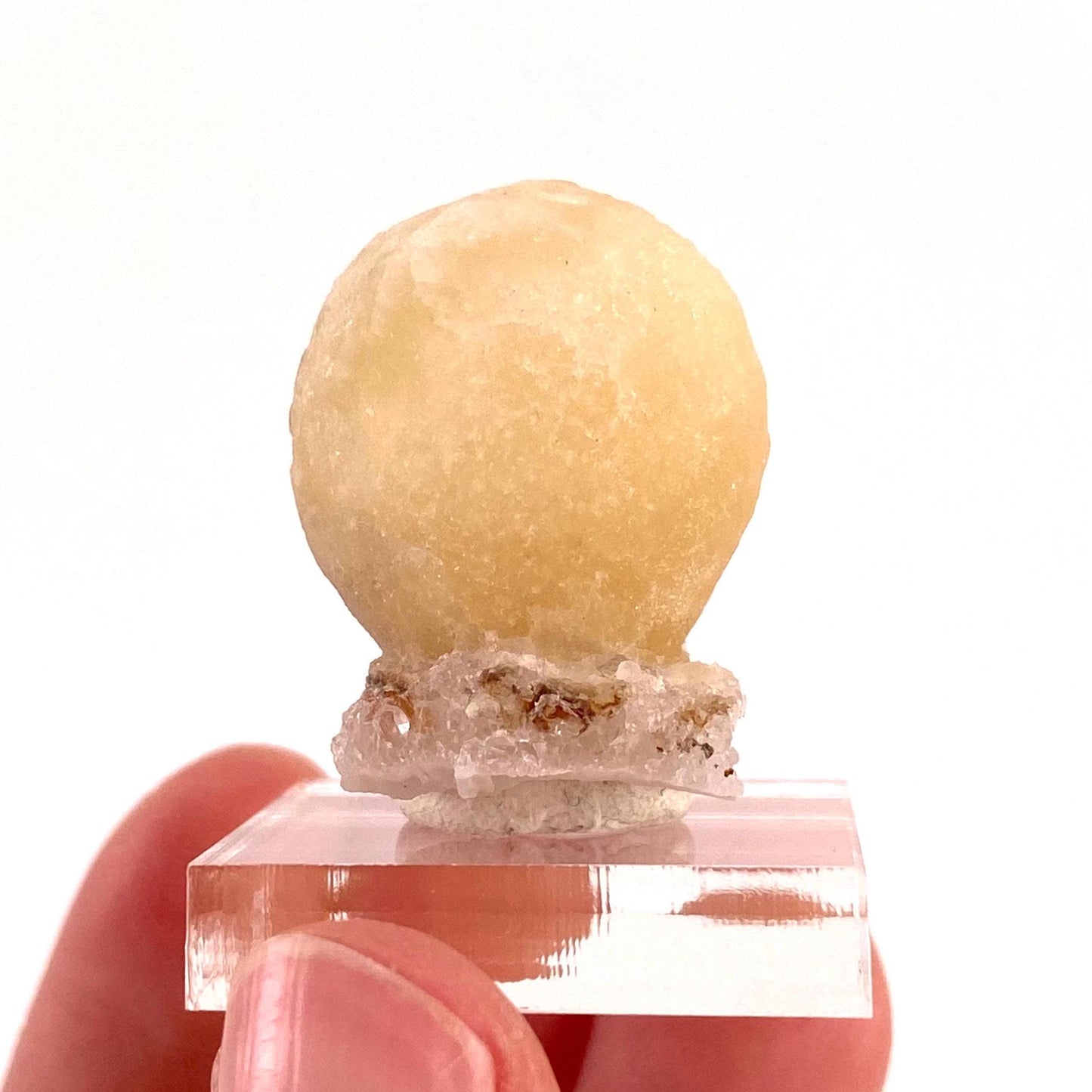 Botryoidal Fluorite on Quartz (India) | fried egg crystal, egg fluorite, fluorite crystal, mineral specimen, yellow fluorite
