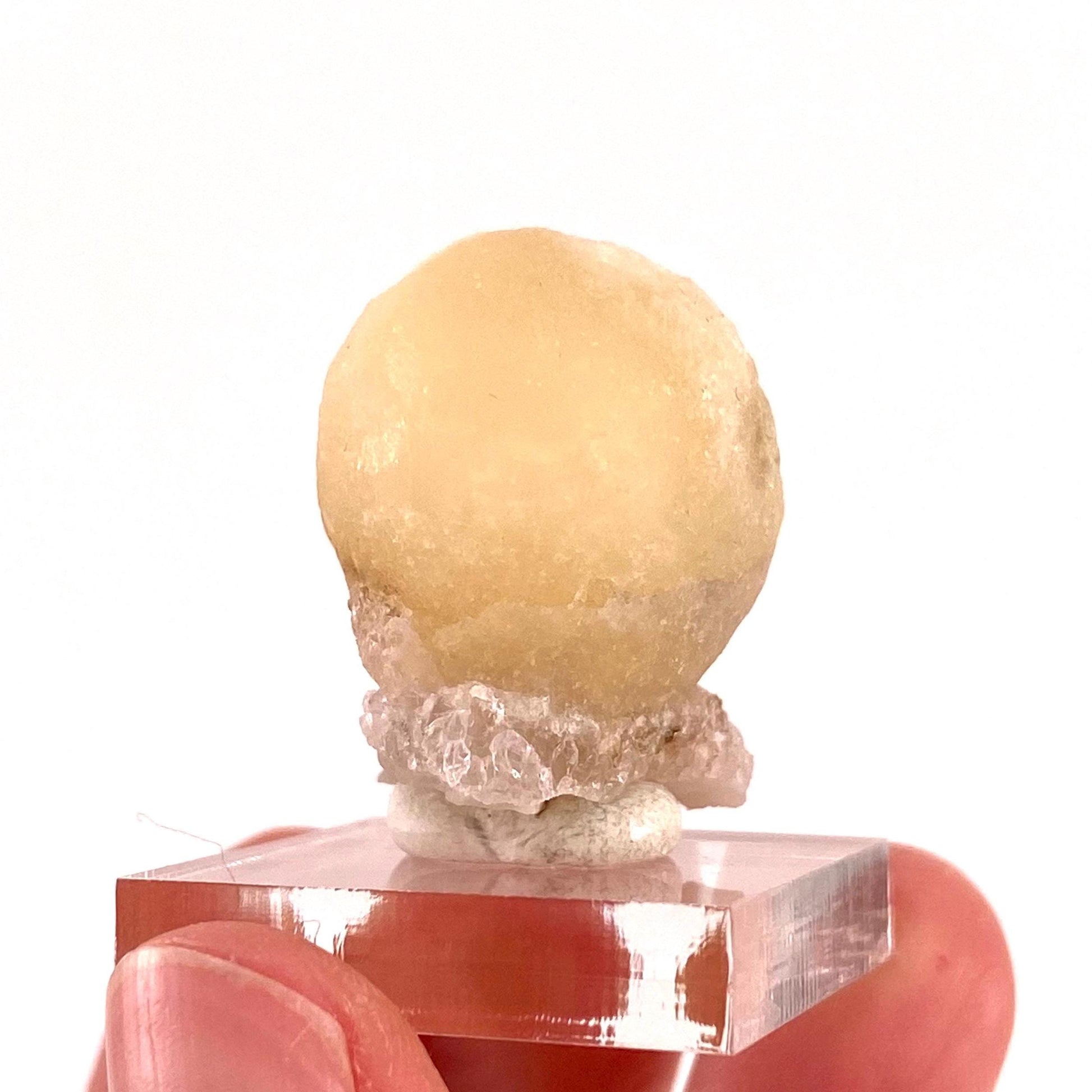 Botryoidal Fluorite on Quartz (India) | fried egg crystal, egg fluorite, fluorite crystal, mineral specimen, yellow fluorite